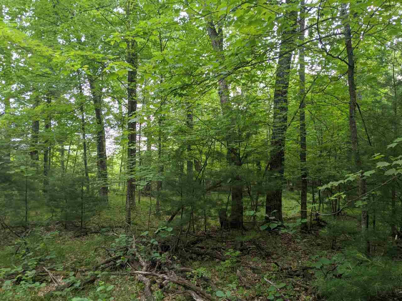 Hancock, WI 54943,2.09 AC 6th Ave