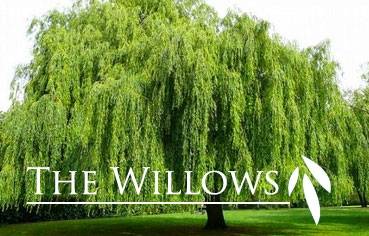 Middleton, WI 53562,Lot 76 The Willows