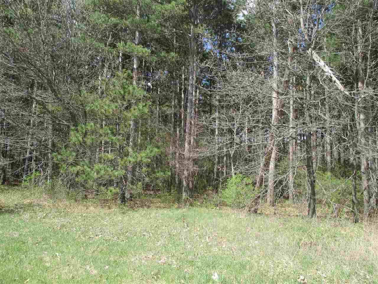 Montello, WI 53949,Lots 1-2 County Road F