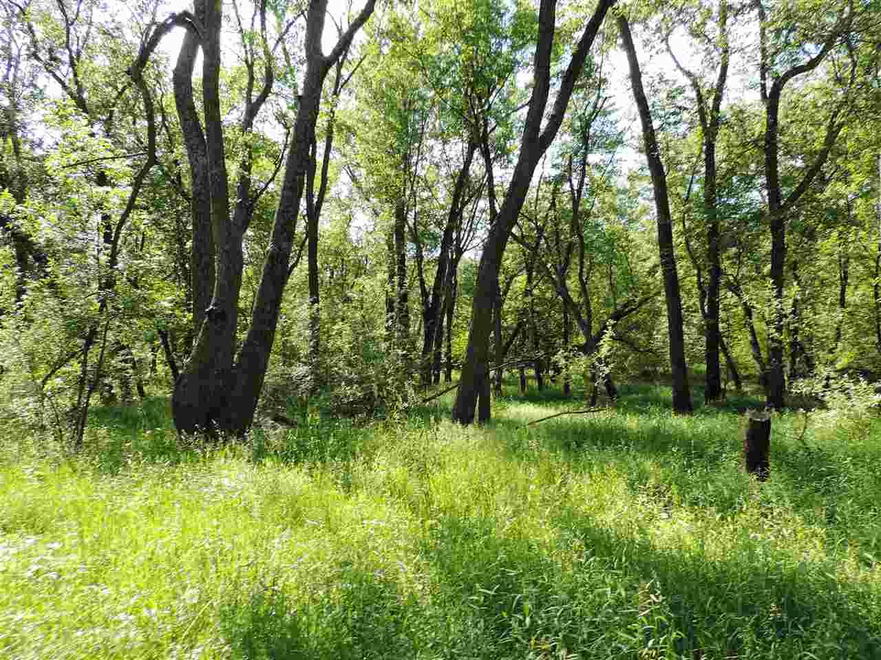 Poynette, WI 53955,L2 St Lawrence Bluff Road