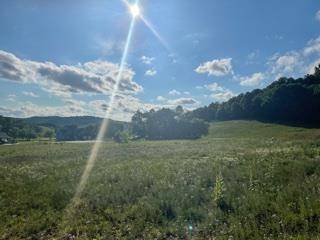 Richland Center, WI 53581,Lot 11 Pheasant Trail