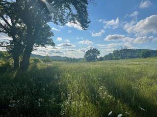 Richland Center, WI 53581,Lot 4 Pheasant Trail
