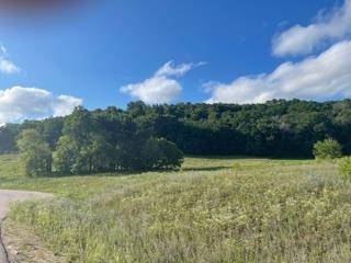 Richland Center, WI 53581,Lot 10 Pheasant Trail