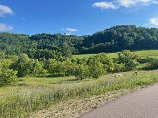 Richland Center, WI 53581,Lot 10 Pheasant Trail