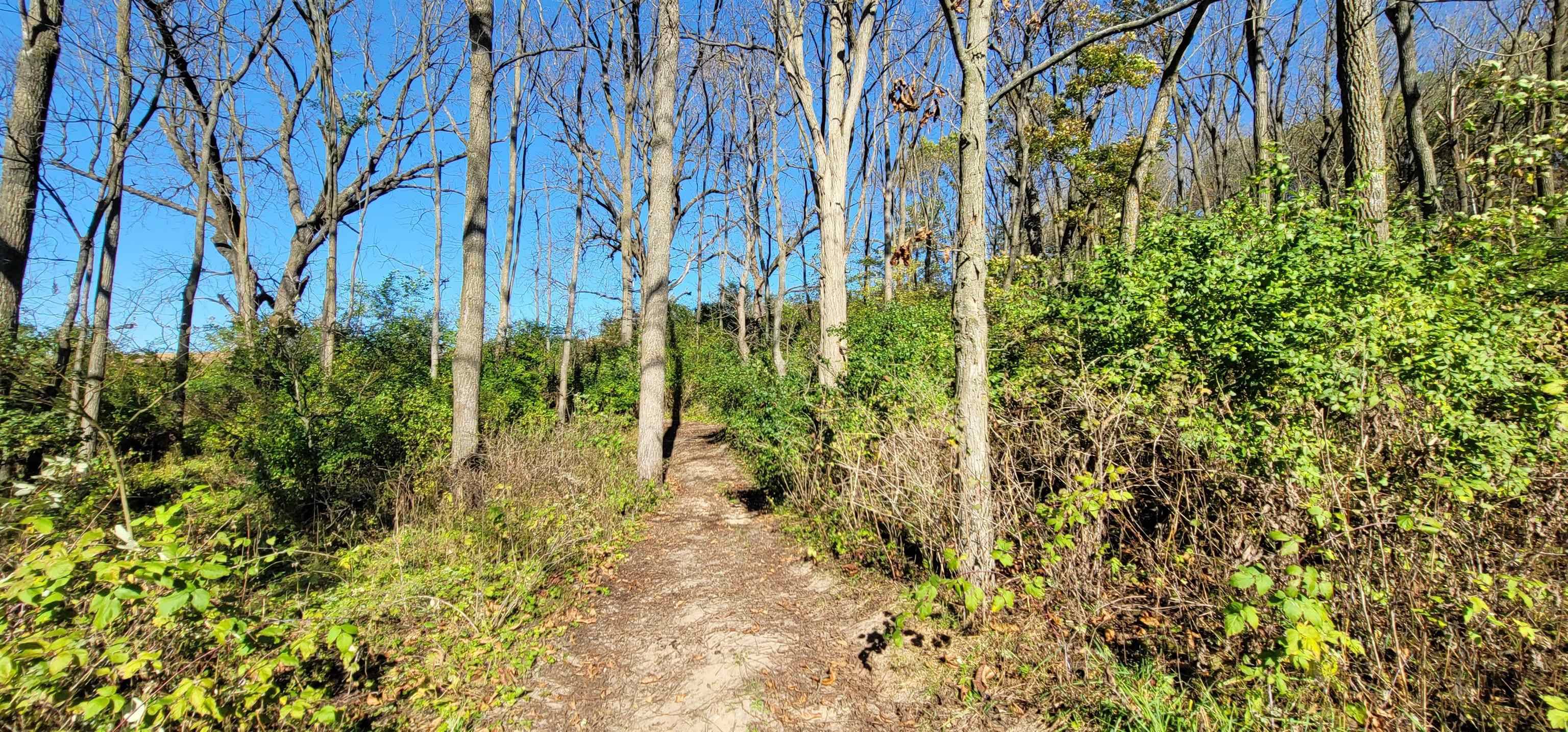 Richland Center, WI 53581,22 ac HWY SR