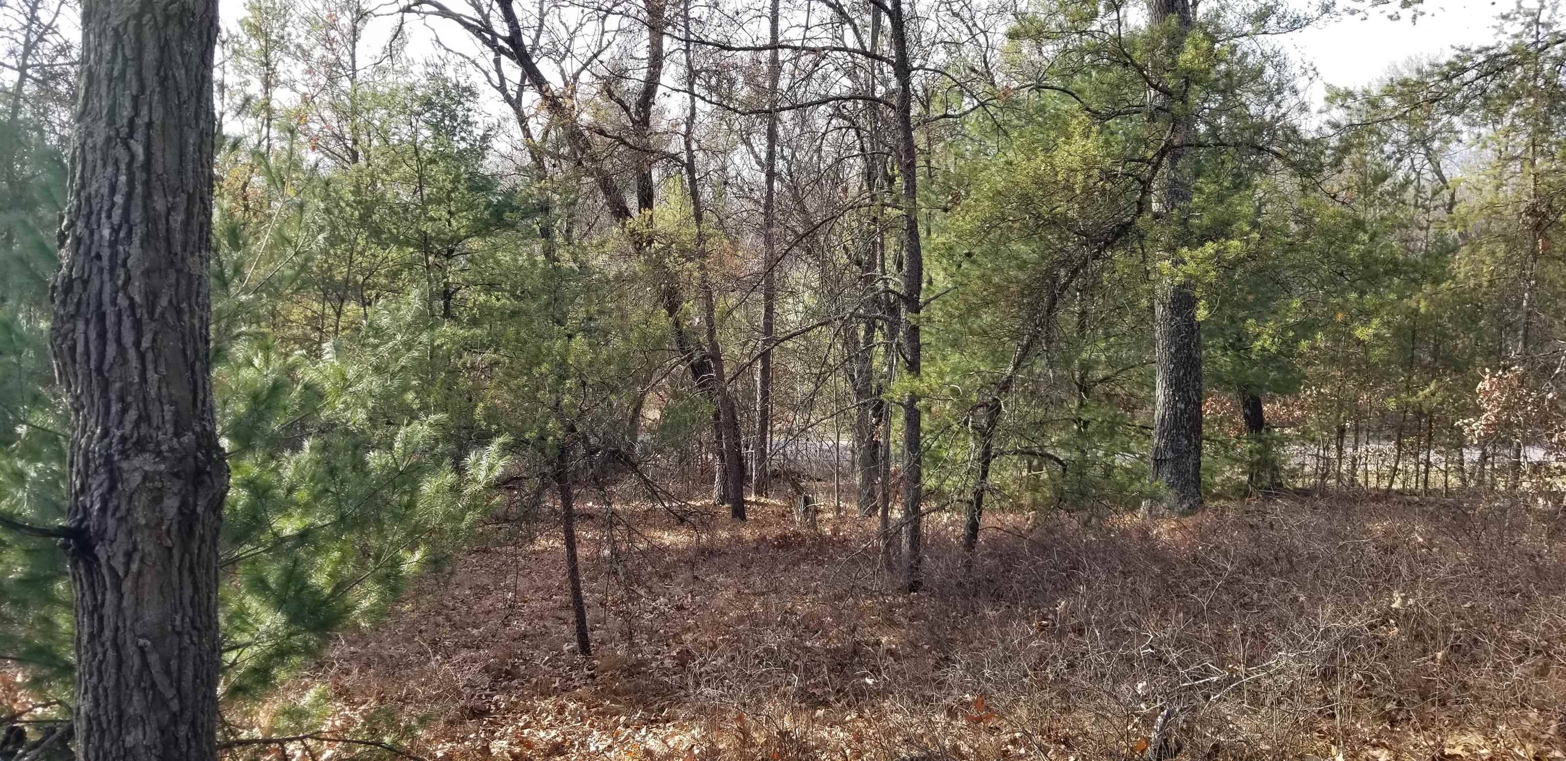 Reedsburg, WI 53959,Lot 3 Park Ln