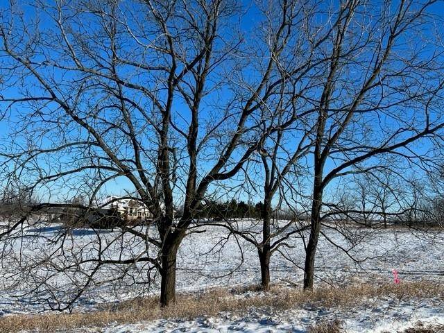 Blanchardville, WI 53516,Lot 13 Hwy 39