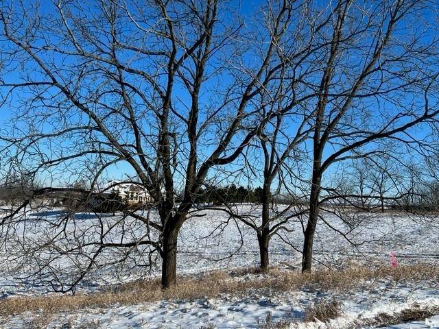 Blanchardville, WI 53516,Lot 13 Hwy 39