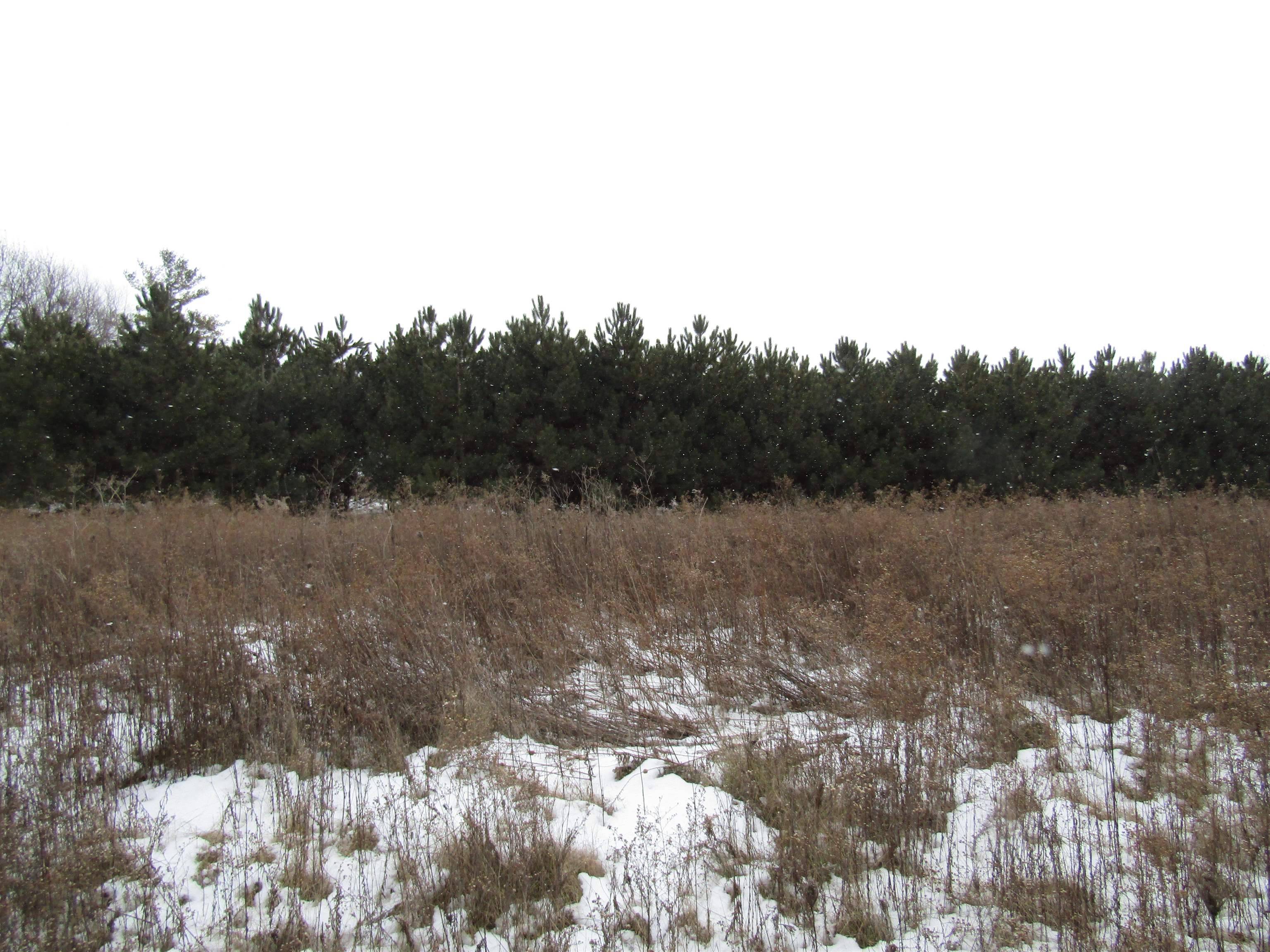 Whitewater, WI 53190,3.84 Acres E Gould Dr Lot 3