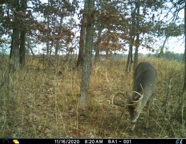 Hancock, WI 54943,40 Ac County Road C