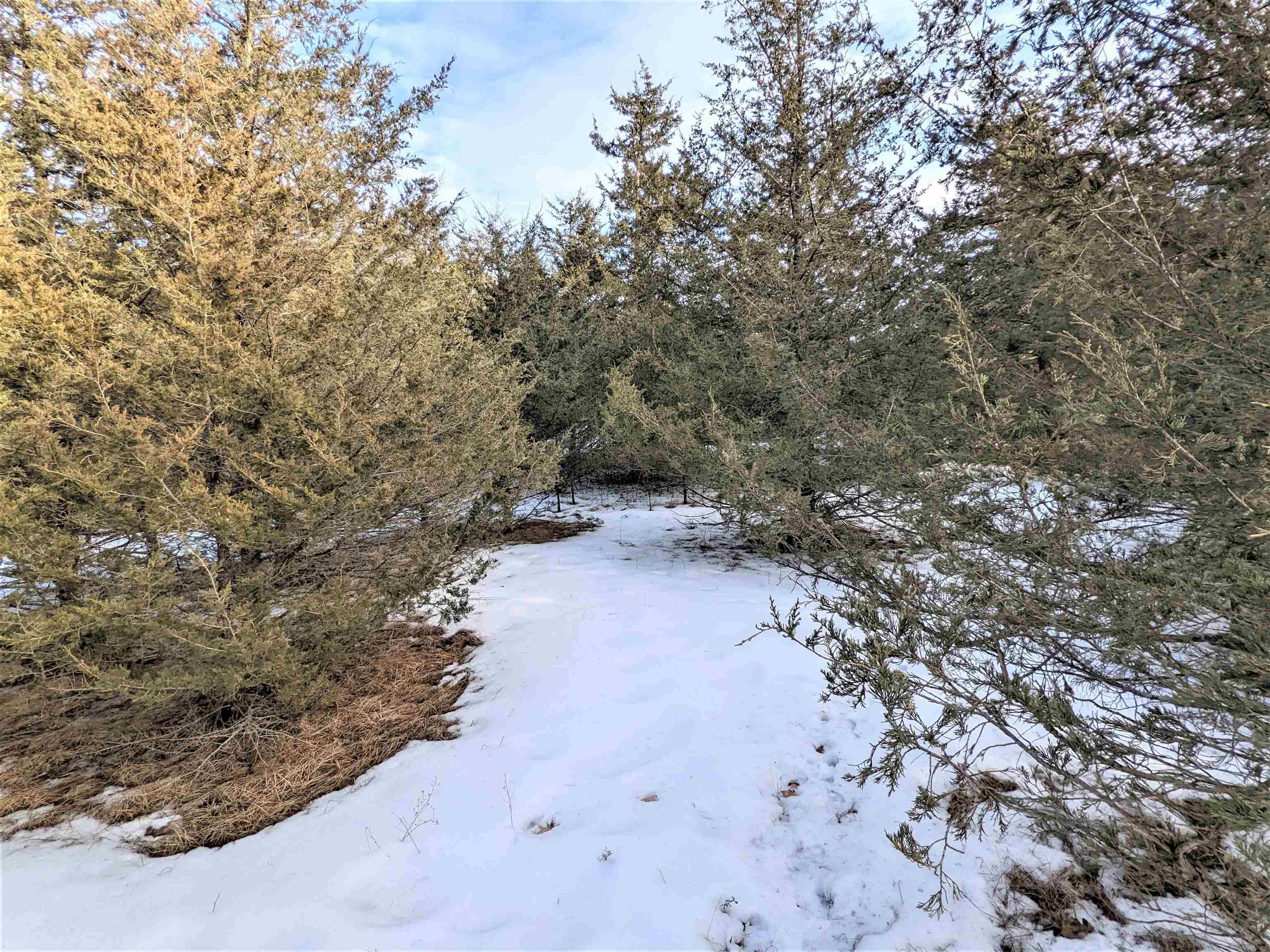 Oxford, WI 53952,Lot 28 Cedar Cove Ln