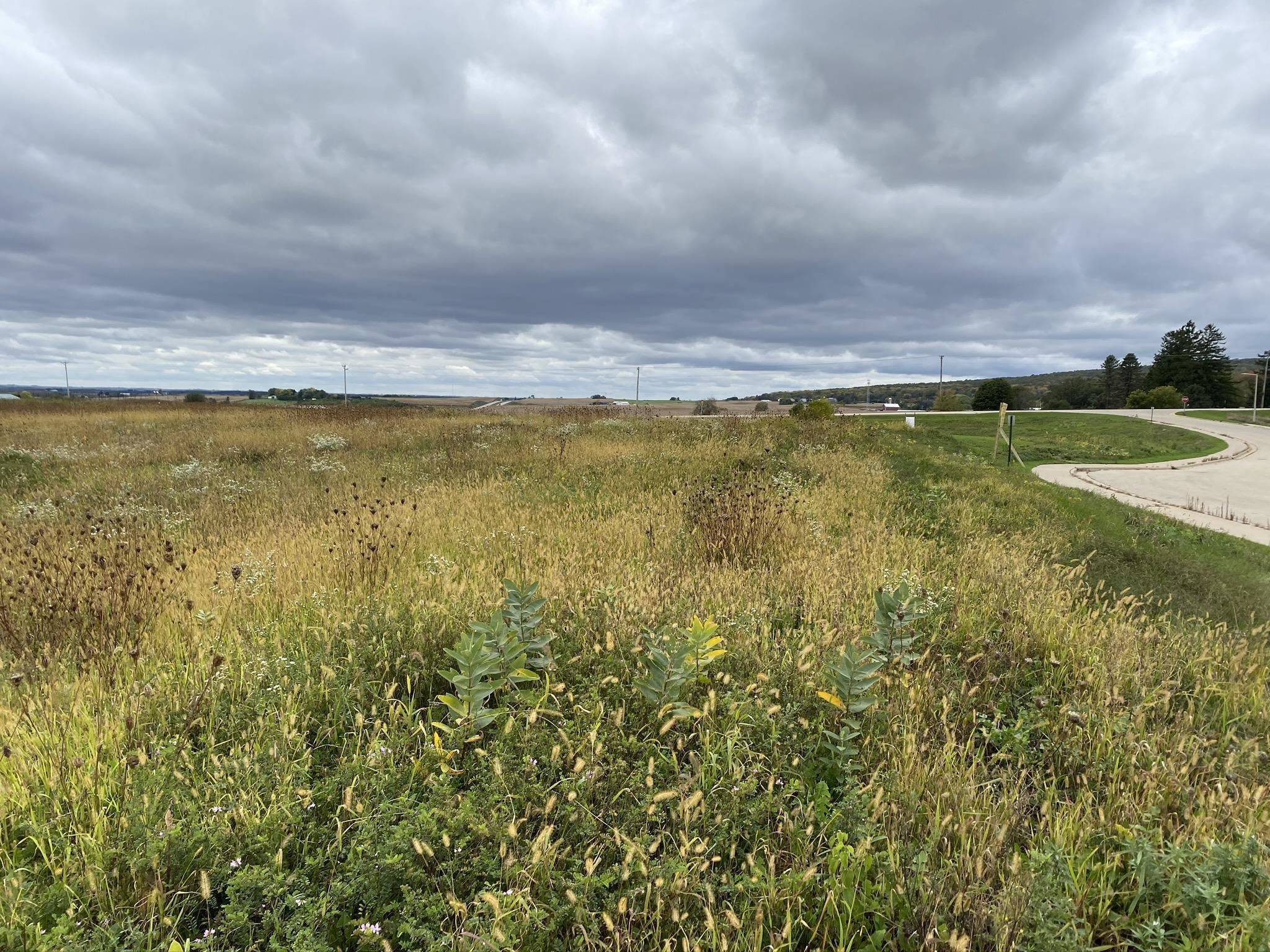 Blue Mounds, WI 53517-0189,10807 Village Circle