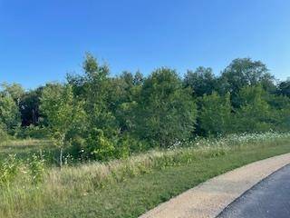 Merrimac, WI 53561,Lot 41 Lucille Lane