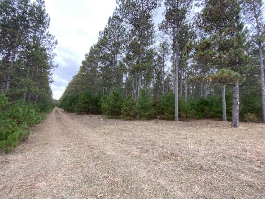 Hancock, WI 54943,Lot 17 9th Ave