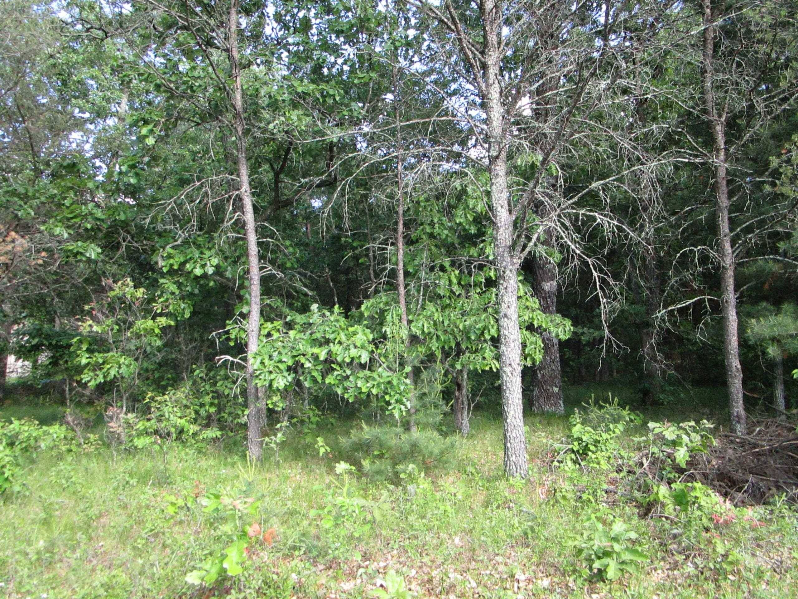 Arkdale, WI 54613,Lot 364-365 N Cypress Ln