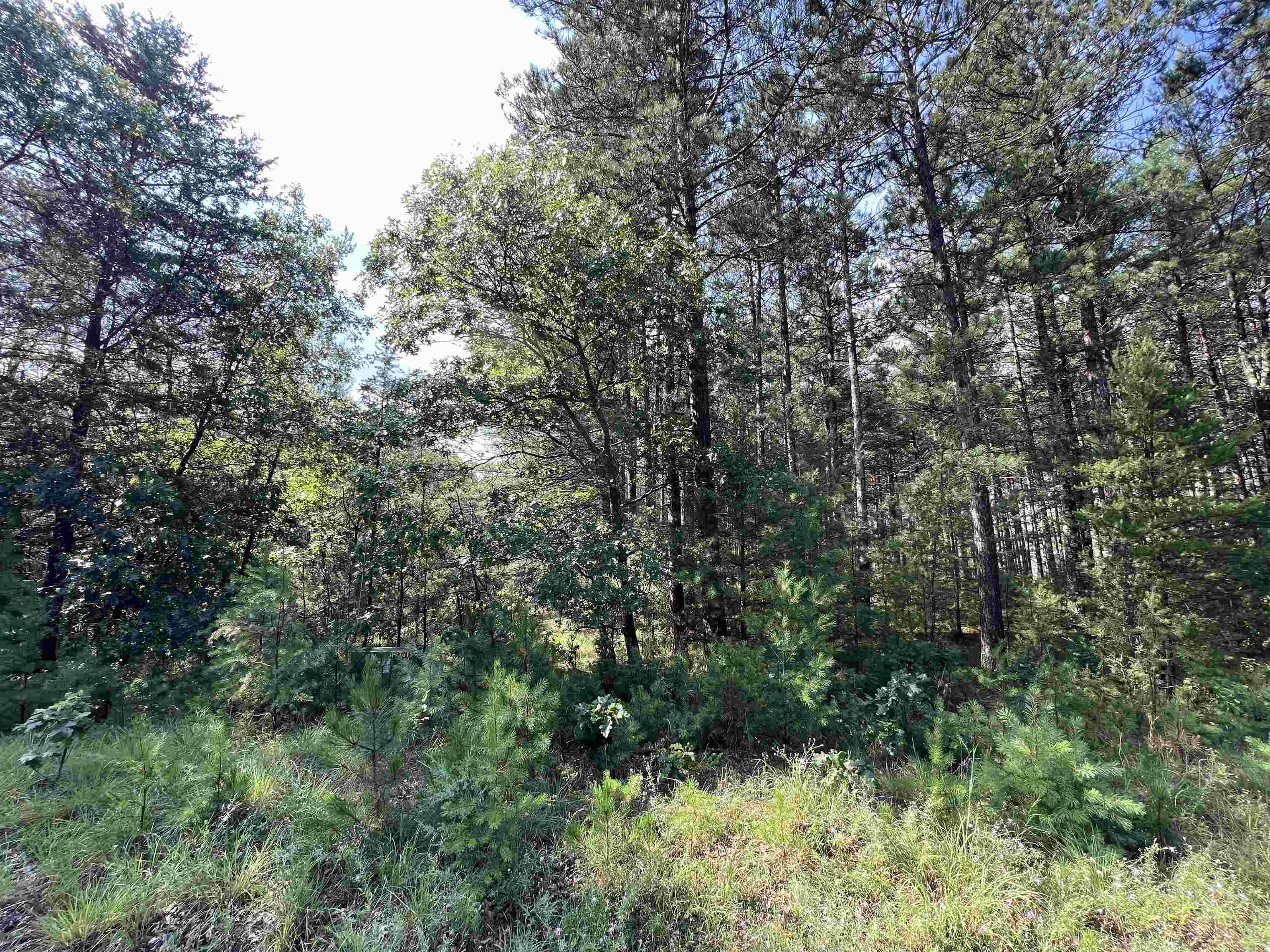 Arkdale, WI 54613,5.5 Acres Browndeer Dr