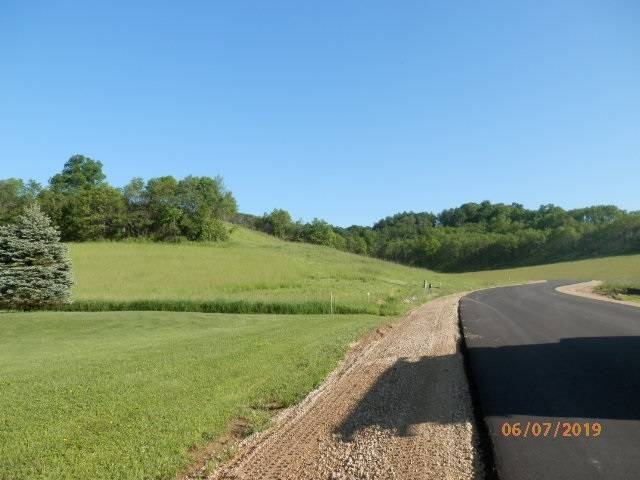 Richland Center, WI 53581,L9 Wild Turkey Lane