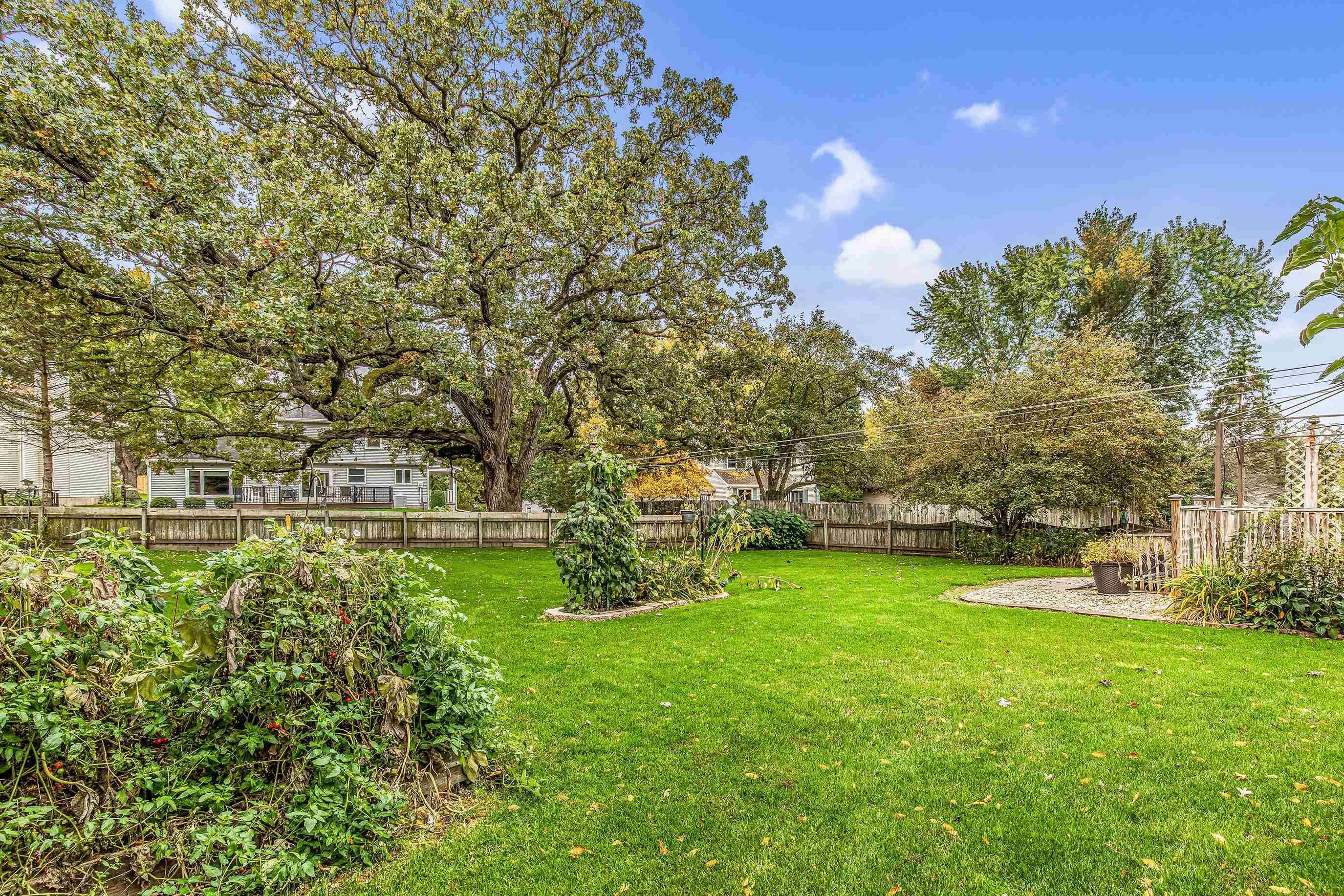 Mcfarland, WI 53558,5807 BLACK WALNUT Drive