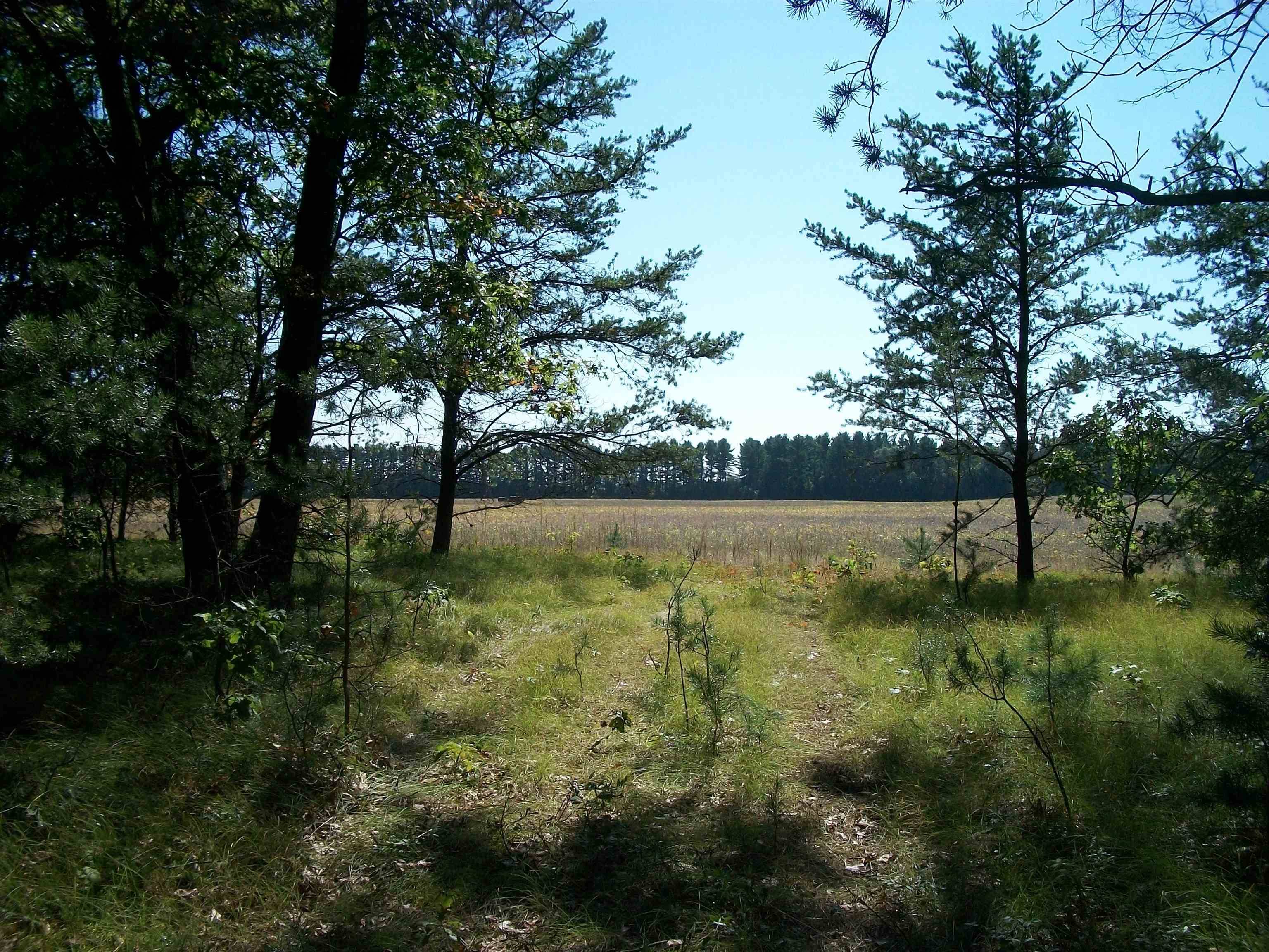 Necedah, WI 54646,38 acres 18th St