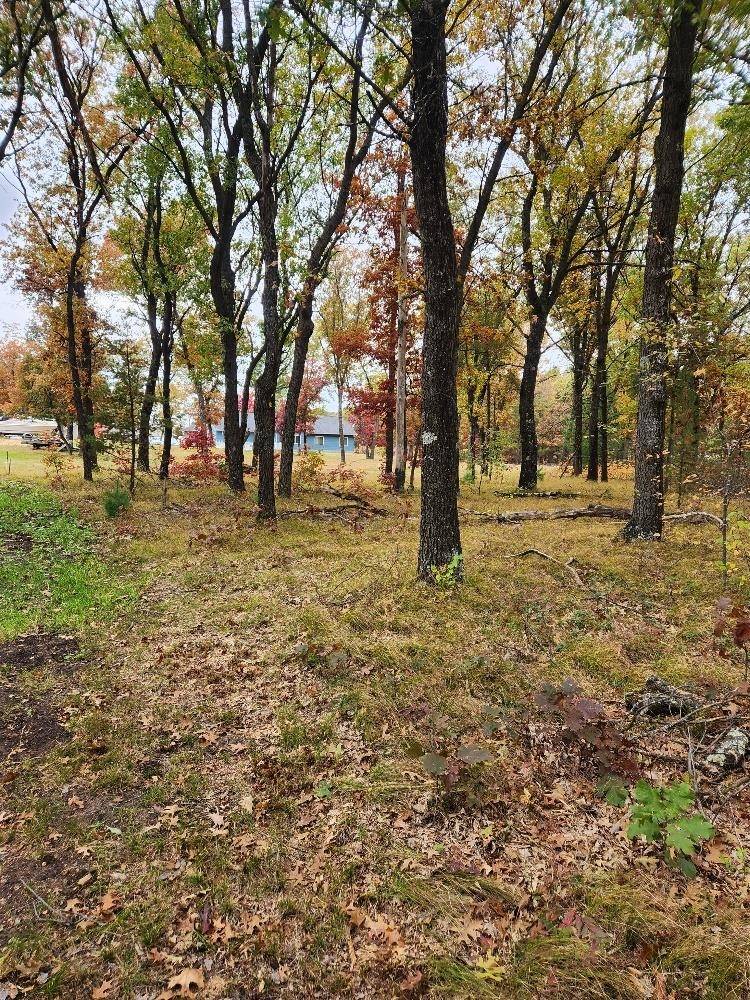 Adams, WI 53910,Lot 24 N Duck Creek Ct