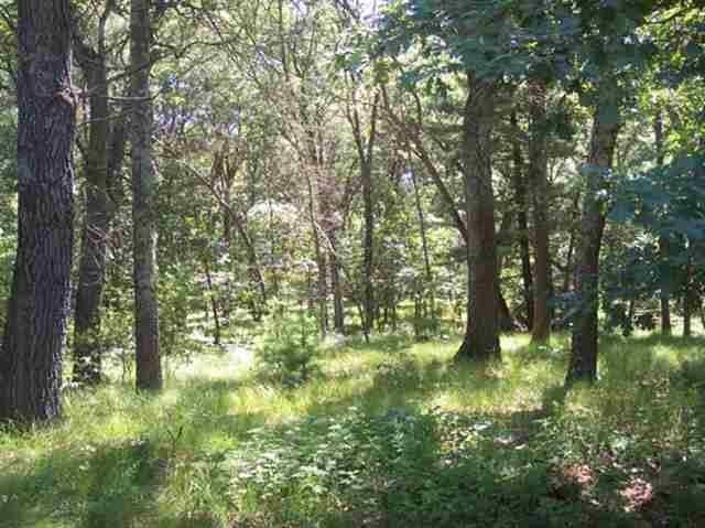 Arkdale, WI 54613,2.98 Acres W 16th Ct