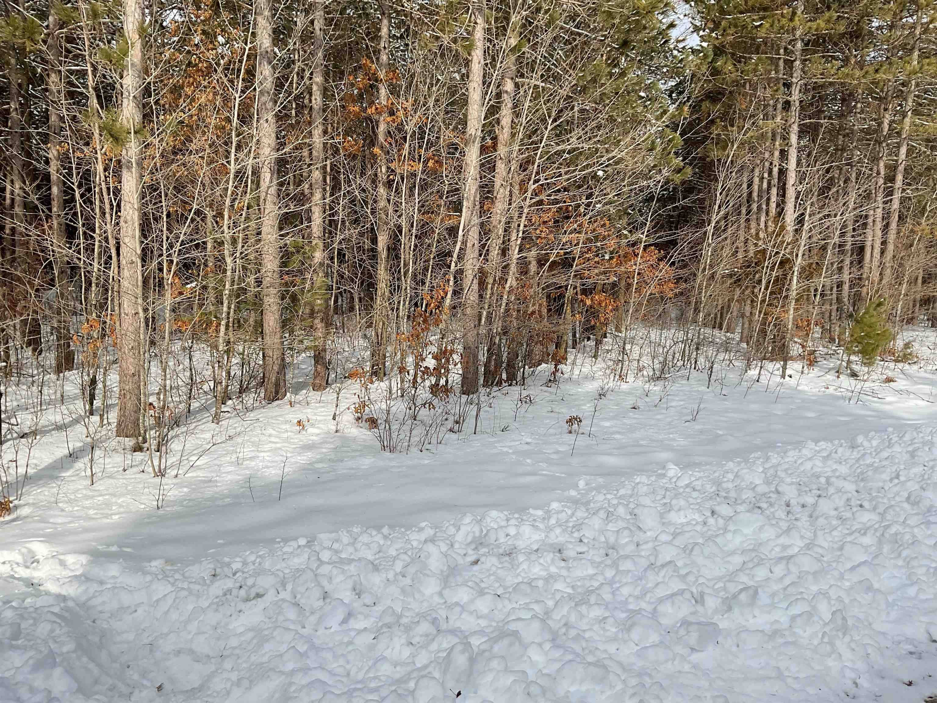 Nekoosa, WI 54457,Lot 63 Yellow Banks Trail