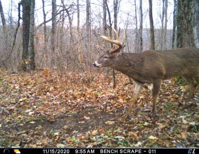 Steuben, WI 54657,24745 Heisz Rd