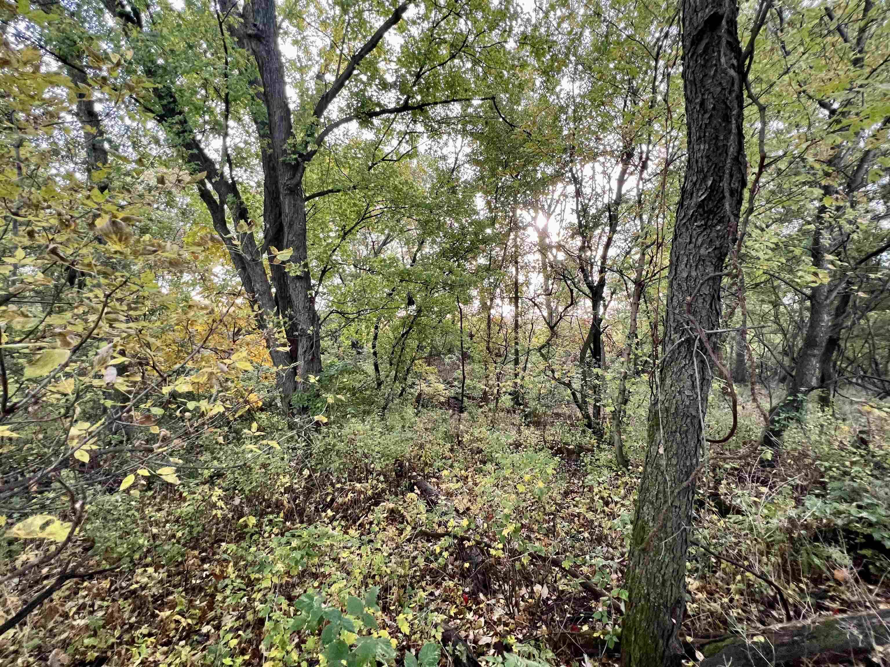 Monticello, WI 53570,45 Ac. Burr Oak Ln