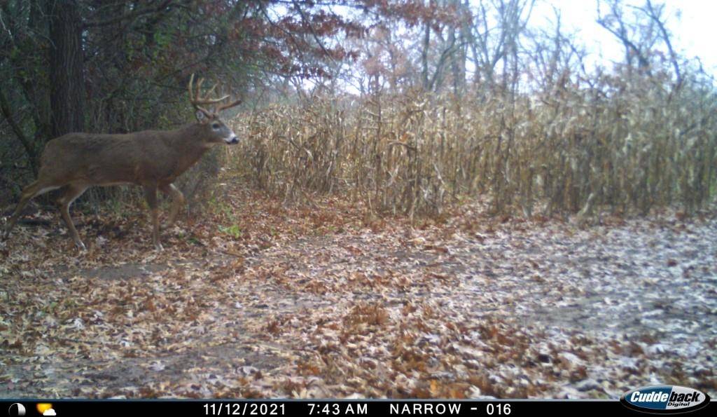 Ogdensburg, WI 54962,155 AC Knutson Lake Road