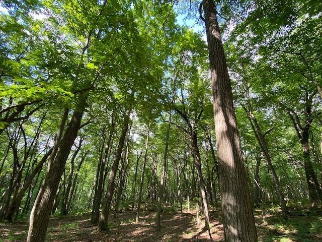 Cross Plains, WI 53528,10 Acres Observatory Road