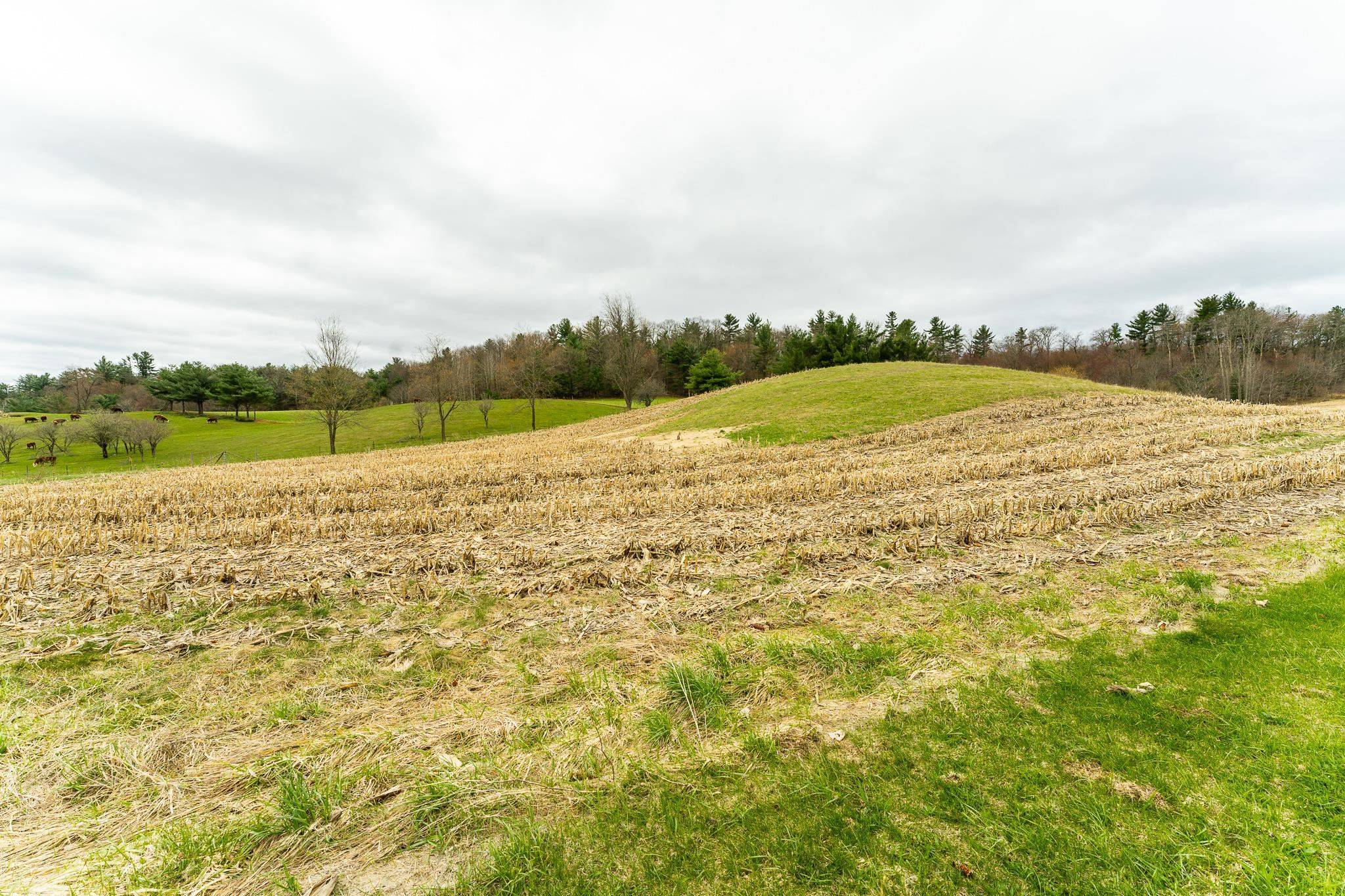 Warrens, WI 54666,Lot 1 Blackberry Avenue