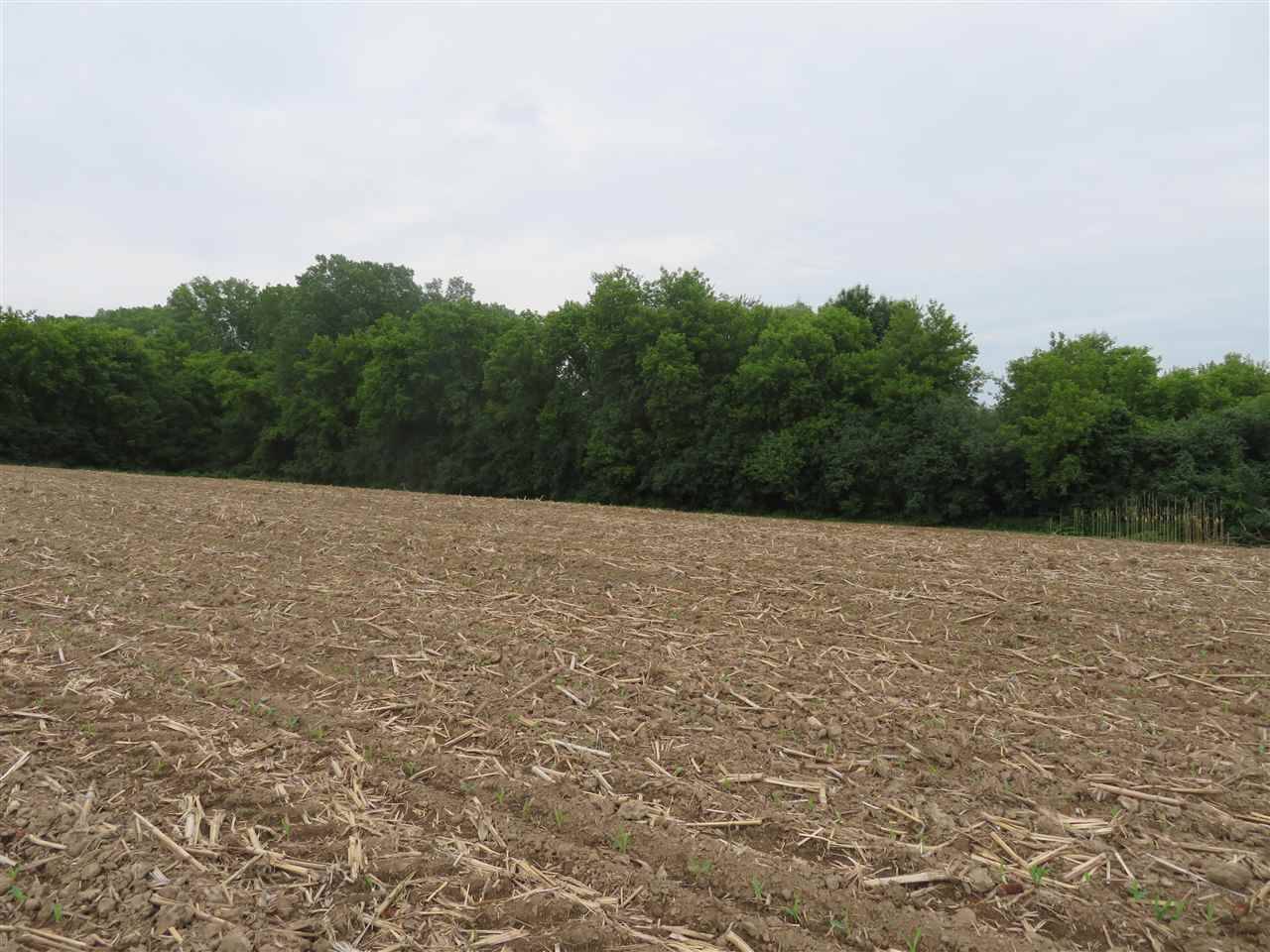Beaver Dam, WI 53916,31.3 ac Marsh Trail