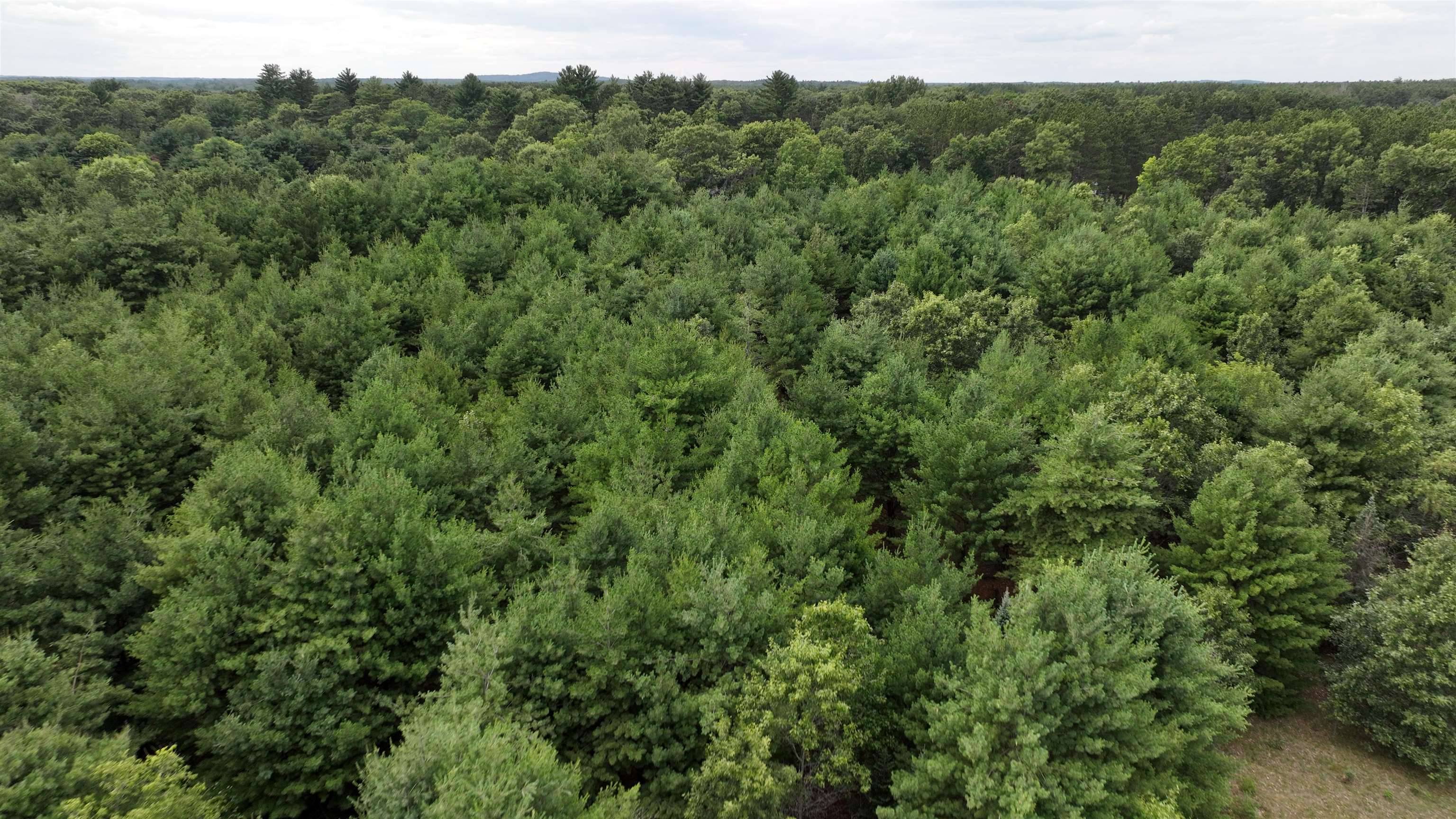 Redgranite, WI 54970,Lot 22 Sandy Pines Court