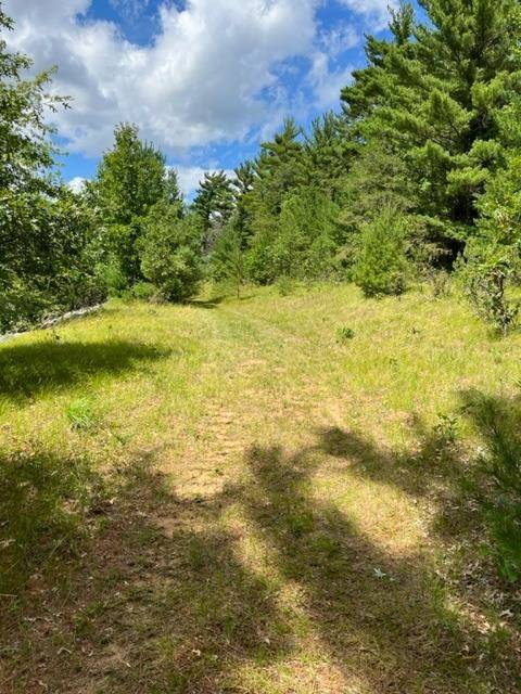 Arkdale, WI 53910,Lot 8 Timber Shores Drive