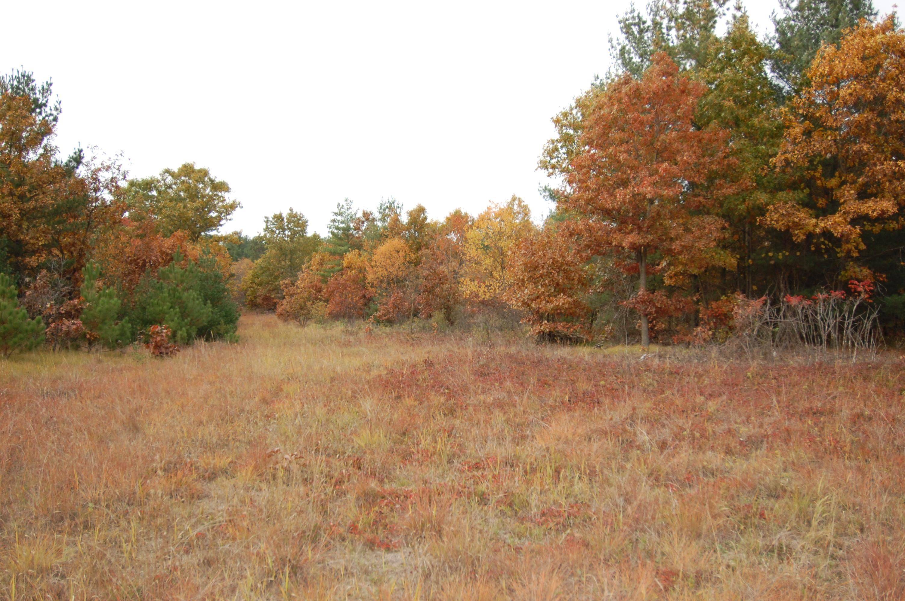 Lone Rock, WI 53556,9999 Tessa Drive