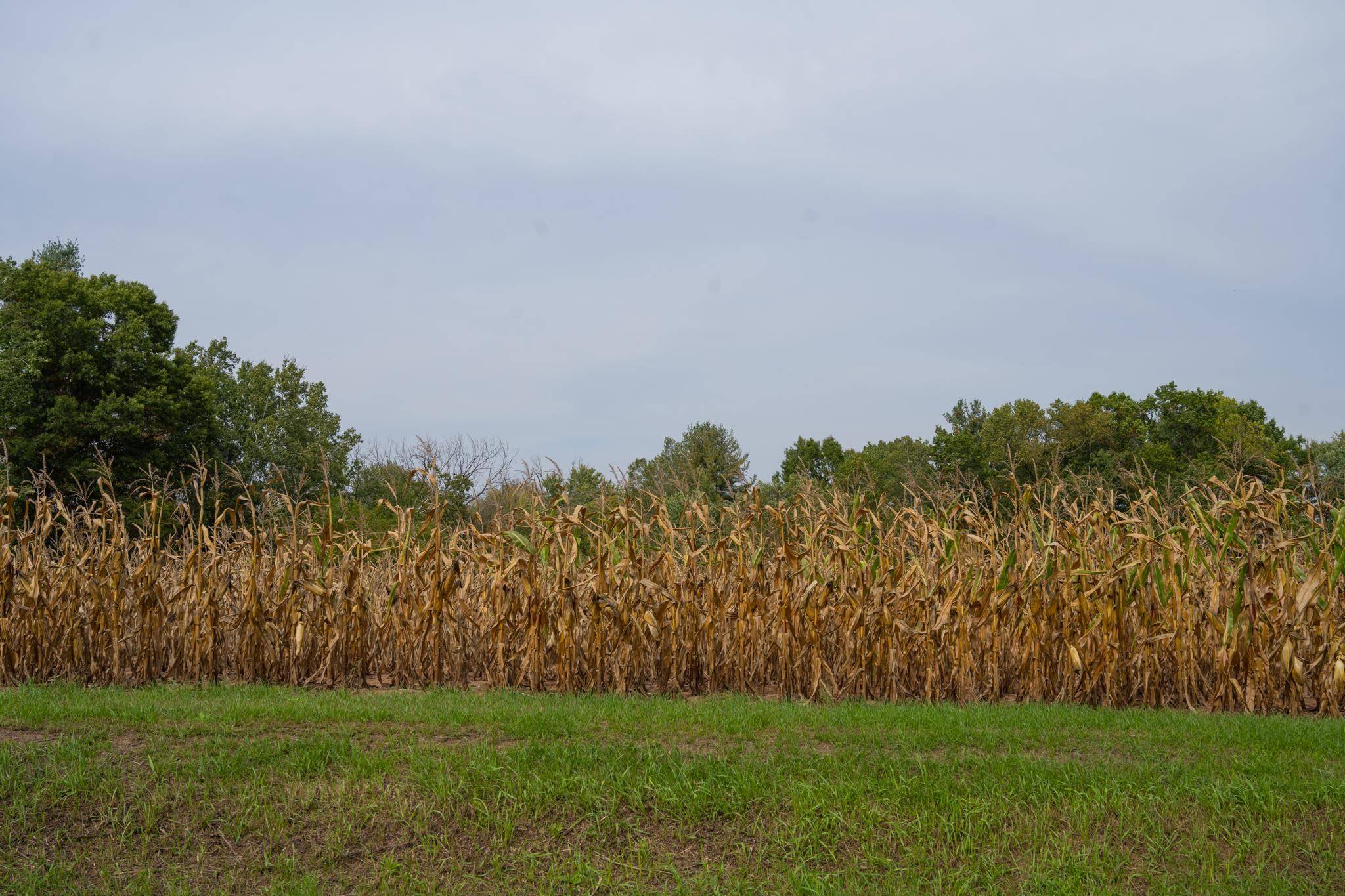 Mauston, WI 53948,Lot 2 Fairway Lane