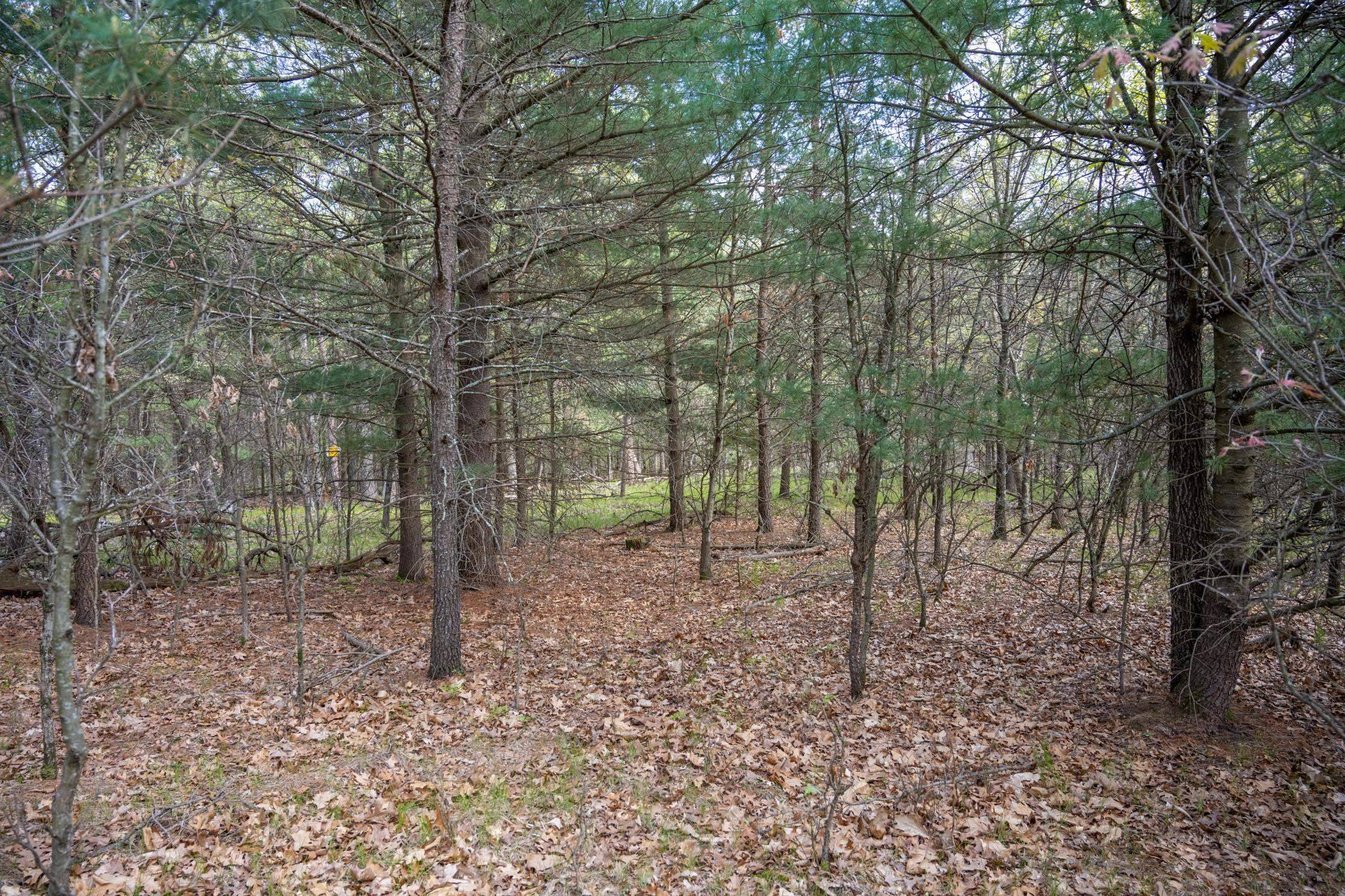 Mauston, WI 53948,N7168 Timber Ridge Lane