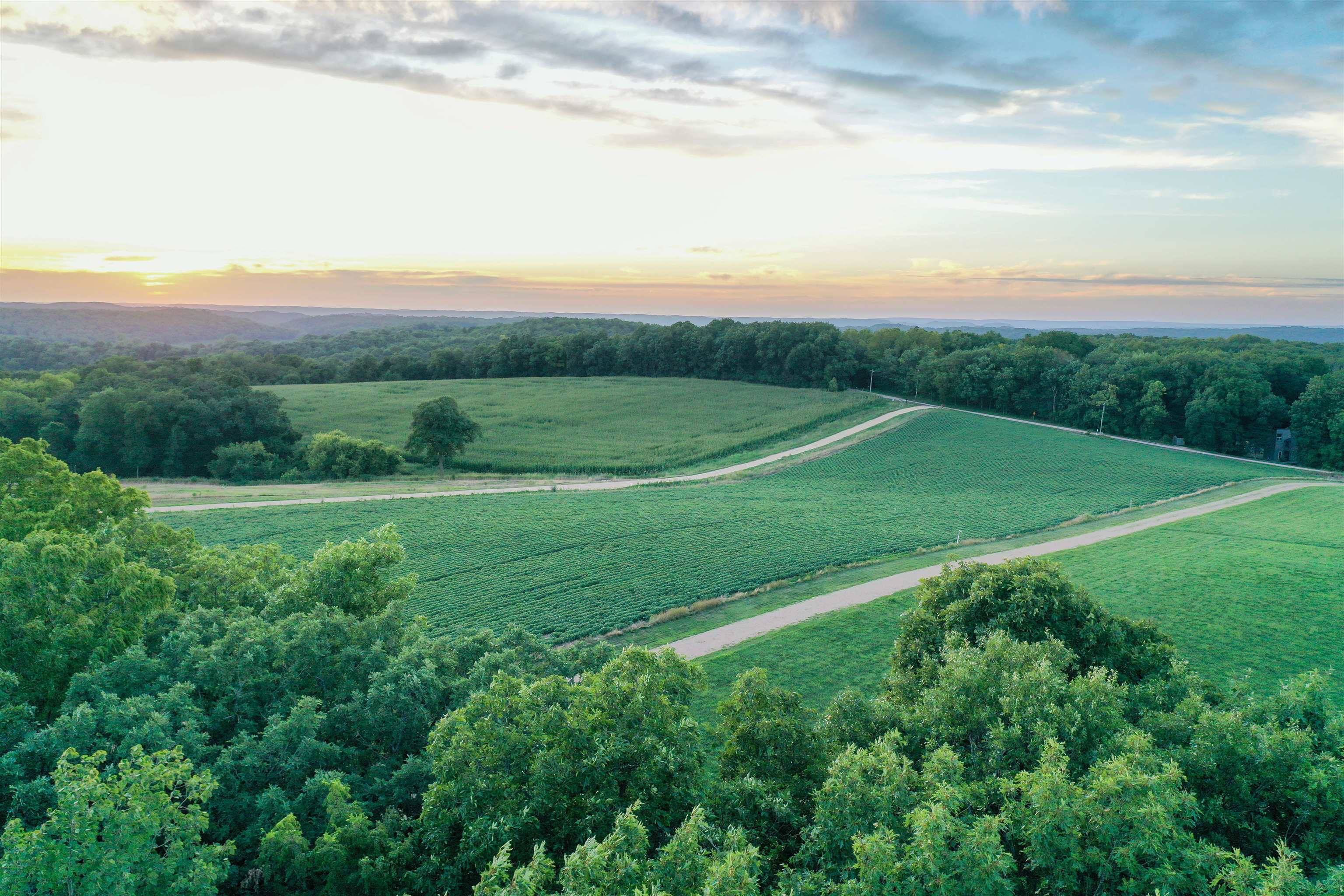 Black Earth, WI 53515,13.54 Acres Blackberry Road