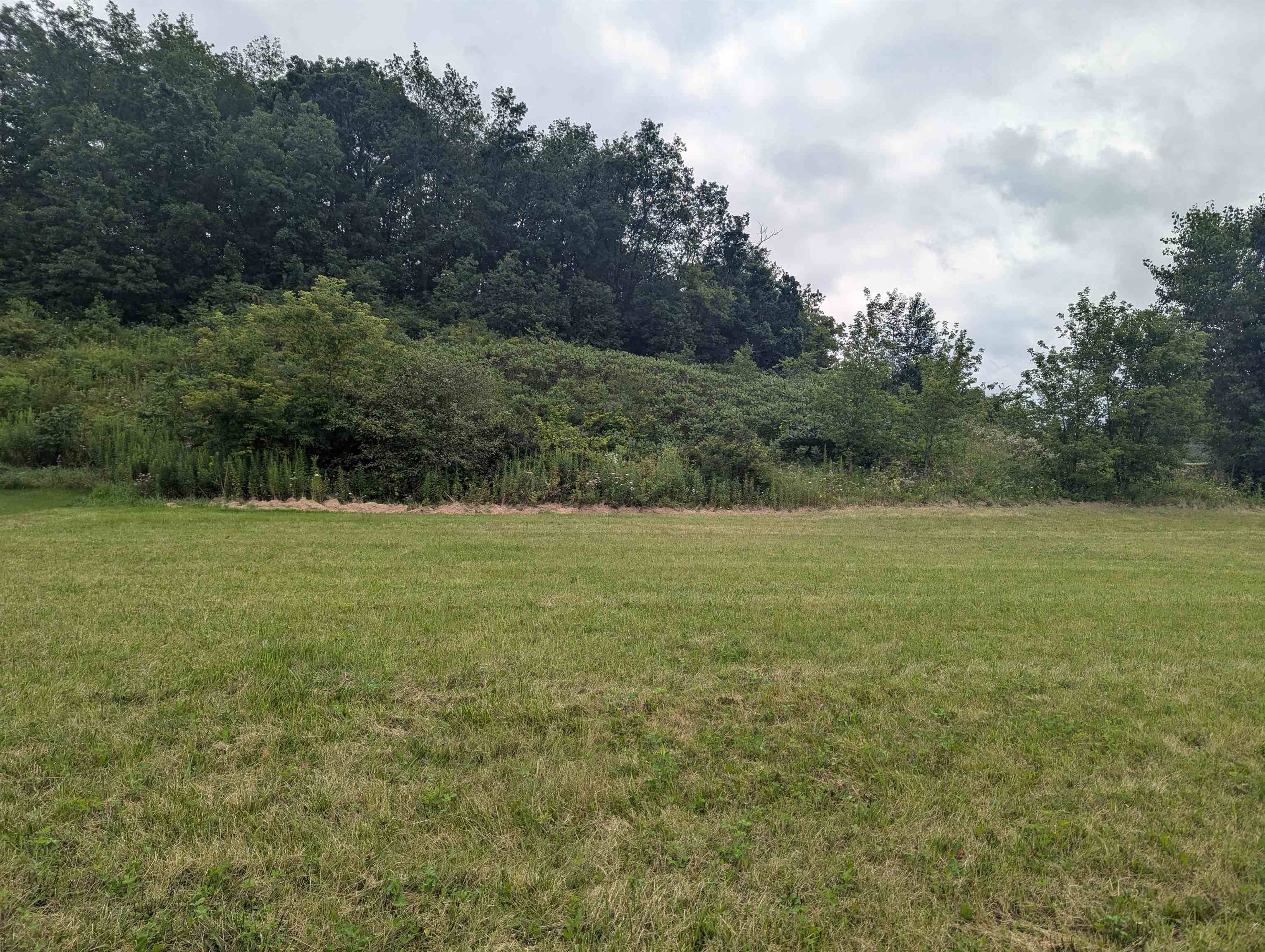 Black Earth, WI 53515,3017 Handel Street
