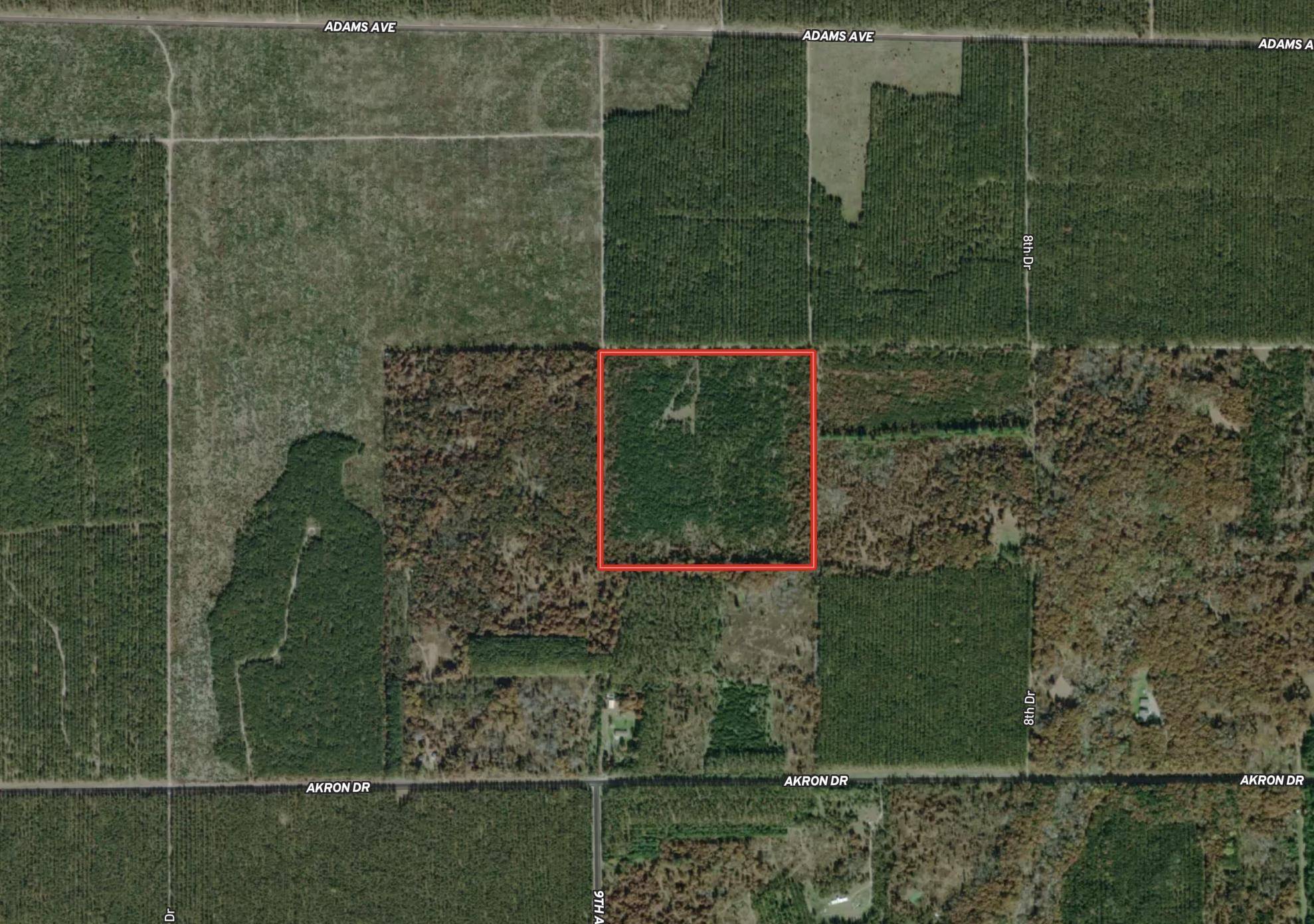 Nekoosa, WI 54457,40 AC Adams Avenue