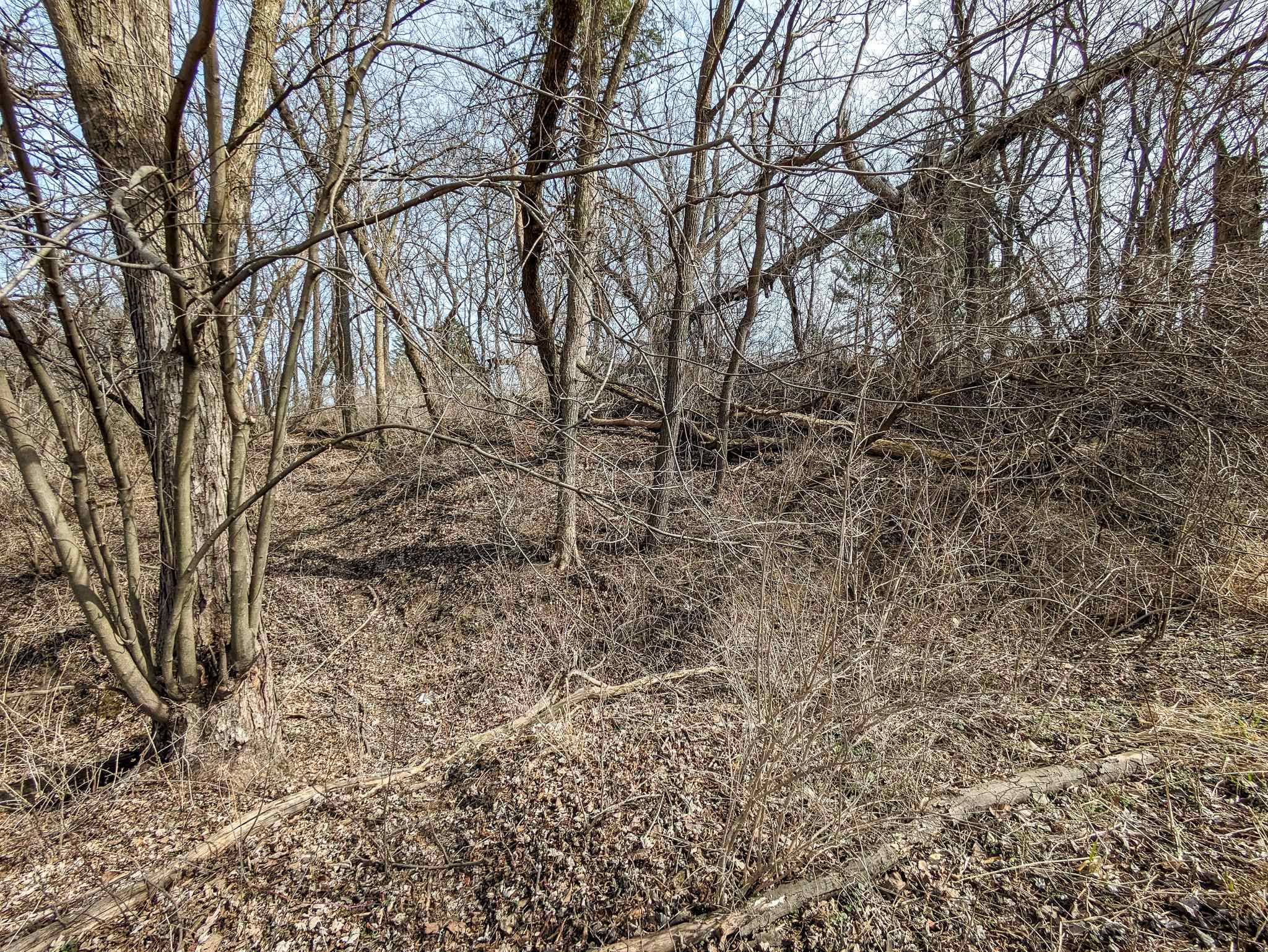 Stitzer, WI 53825,11228 Annaton Road