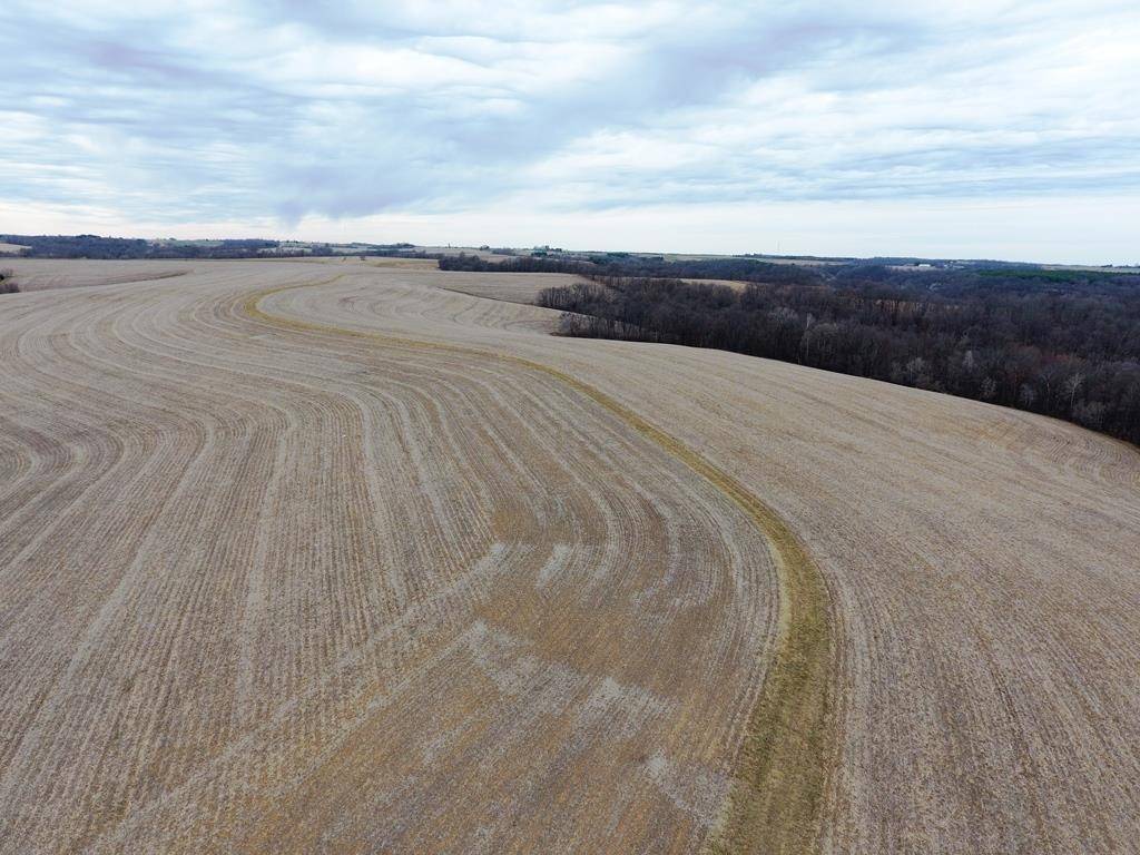 Hillsboro, WI 54634,135.80ac Hickory Hill Road