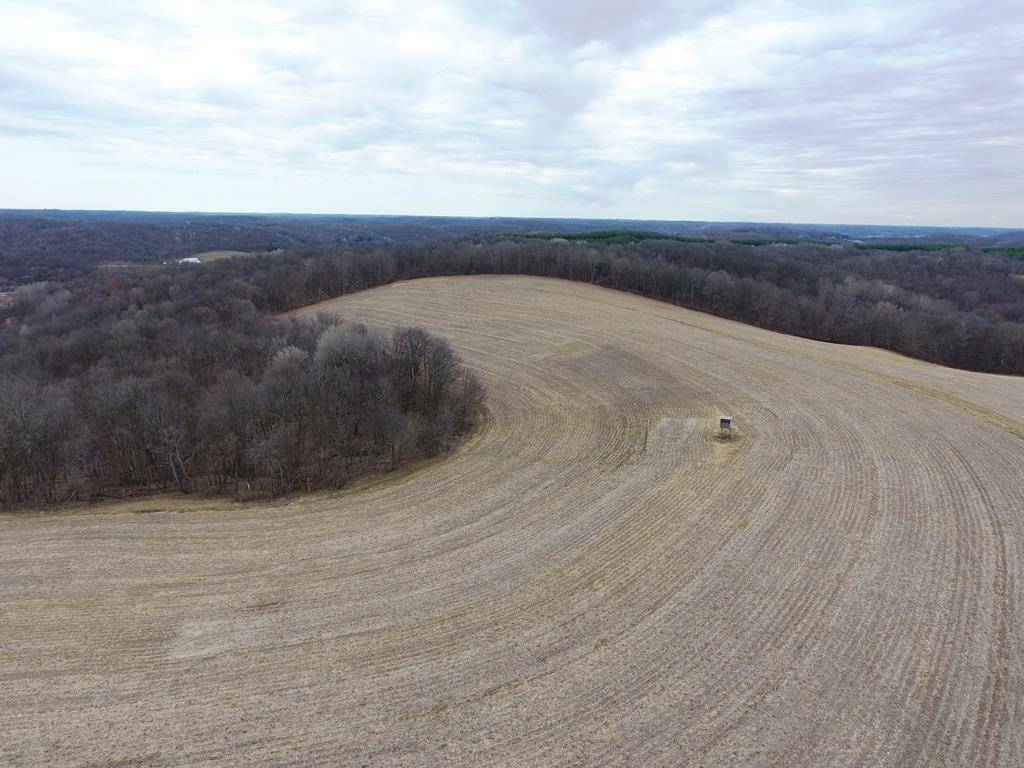 Hillsboro, WI 54634,135.80ac Hickory Hill Road