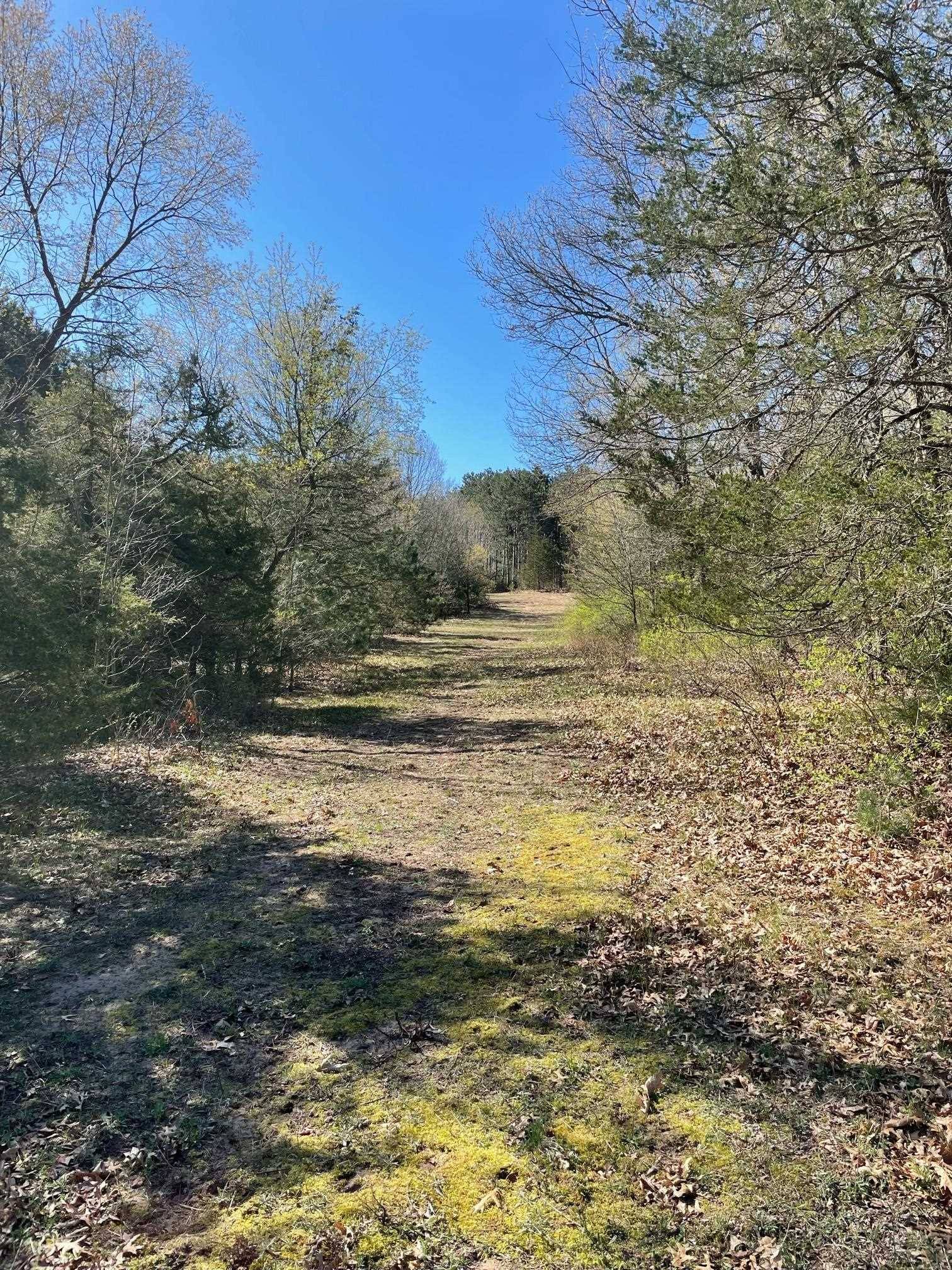Poynette, WI 53955,Lot 11 County Road CS