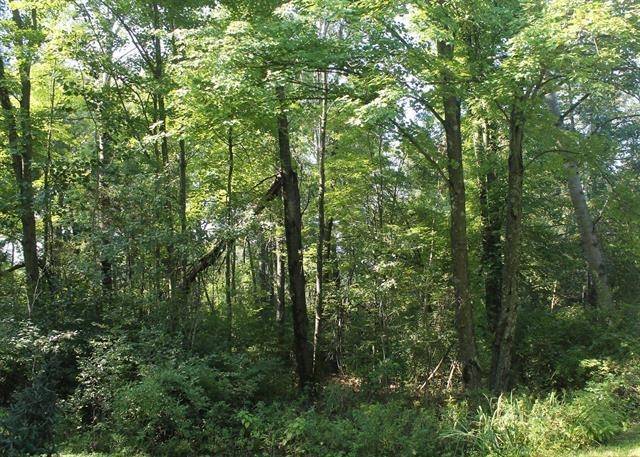 Oxford, WI 53952-0000,Lot 53, 3rd Avenue