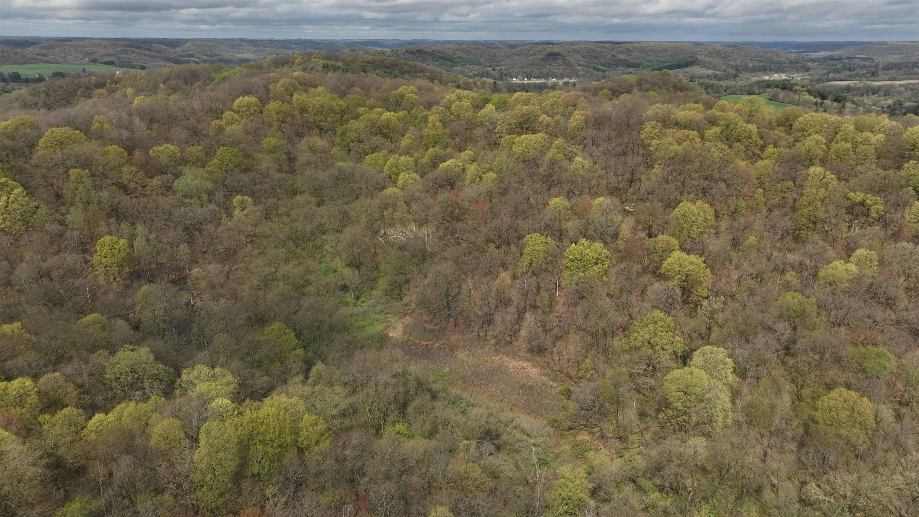 Richland Center, WI 53581,000 Barreau Lane