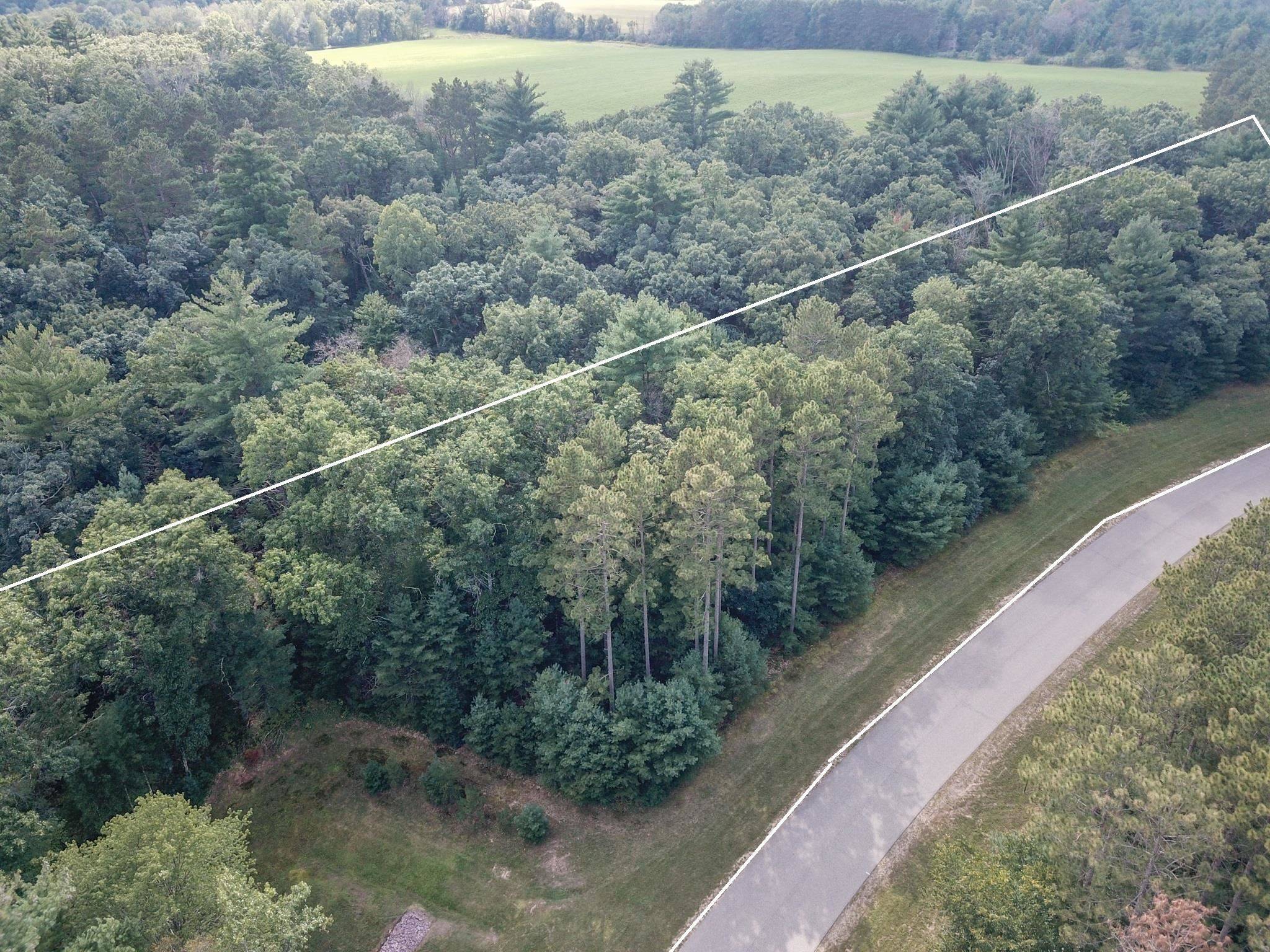 Lyndon Station, WI 53944,W1513 Buffalo Trail