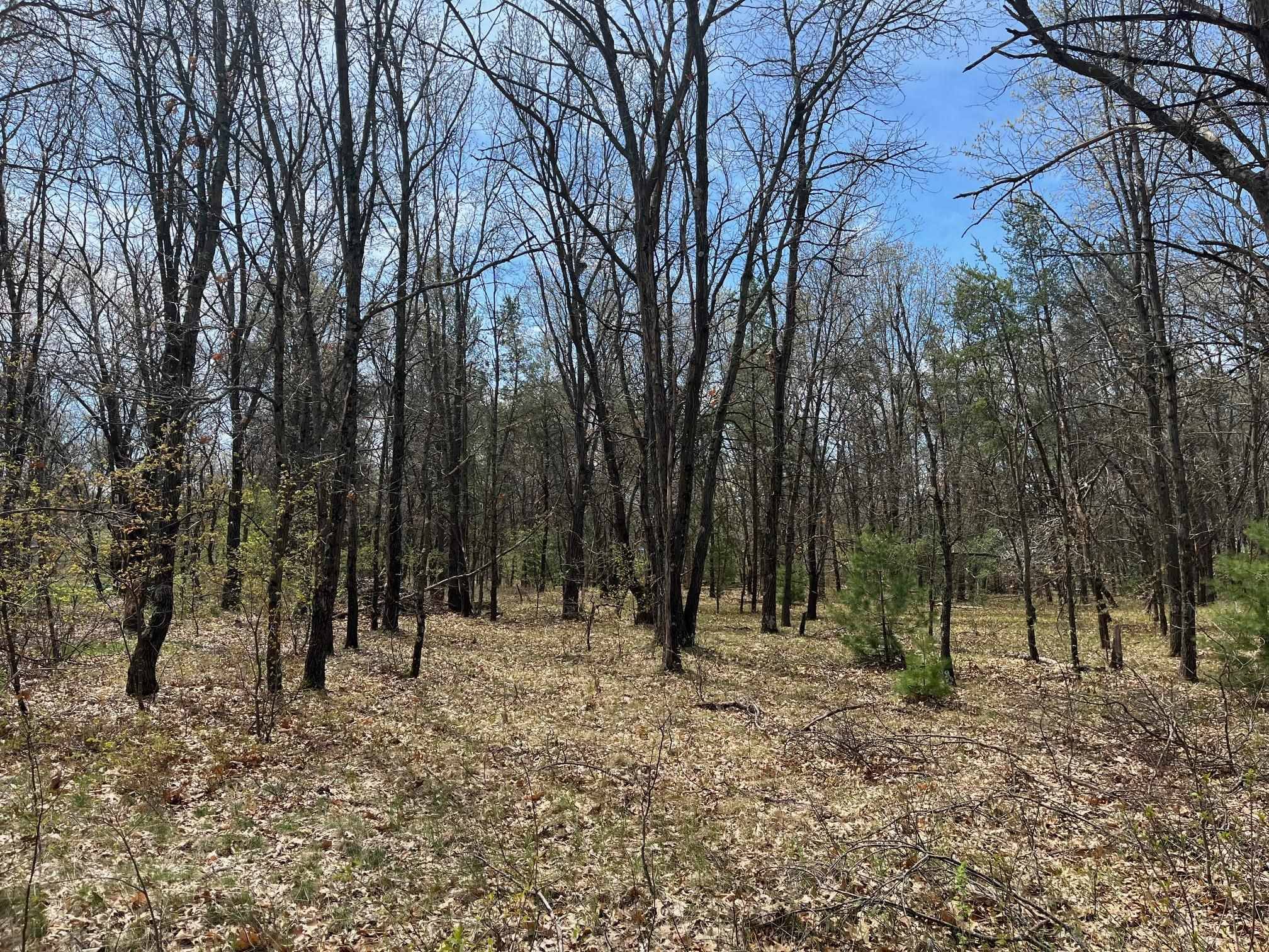 Friendship, WI 53934,L38 S Duck Creek Avenue
