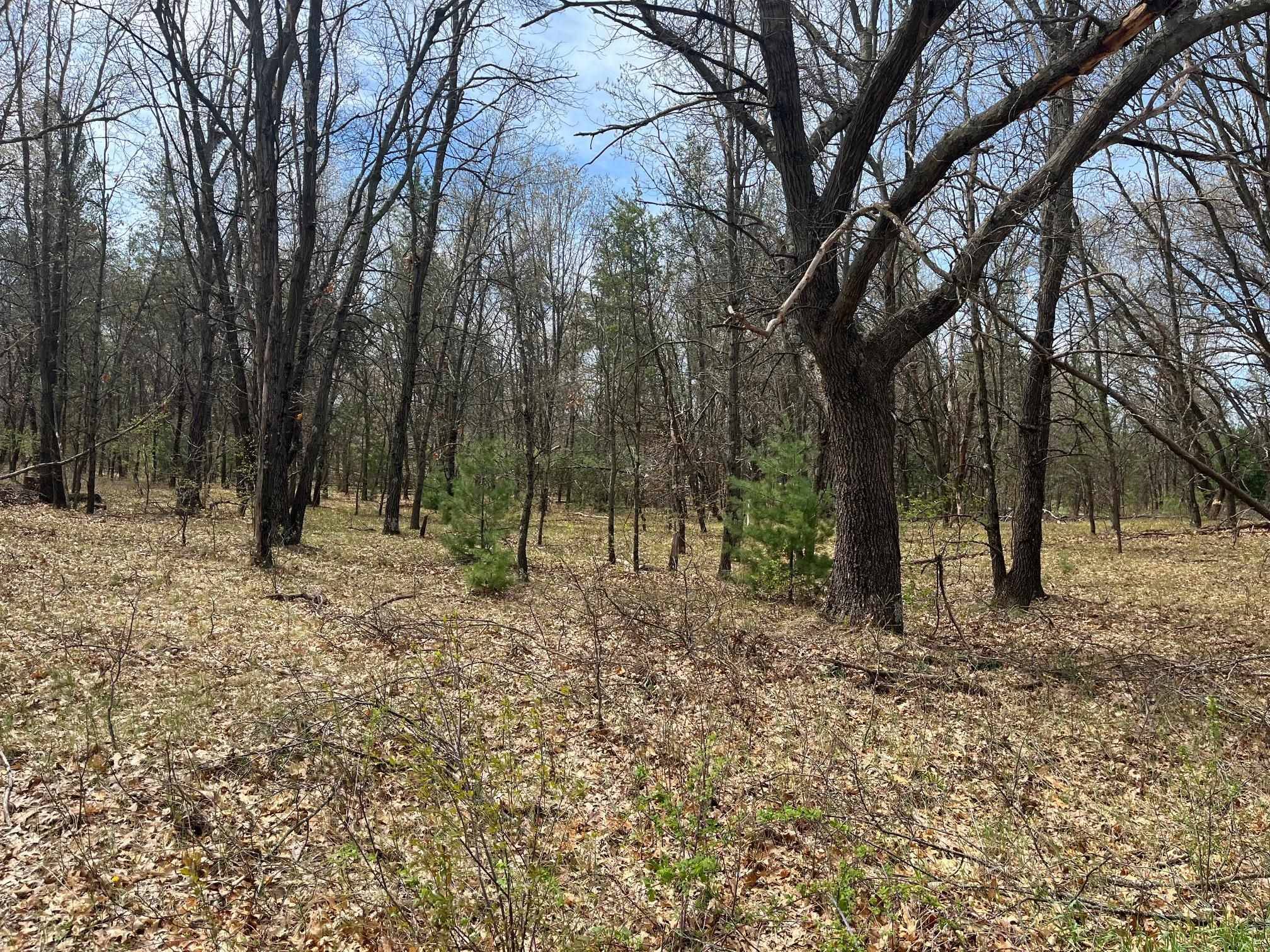 Friendship, WI 53934,L38 S Duck Creek Avenue