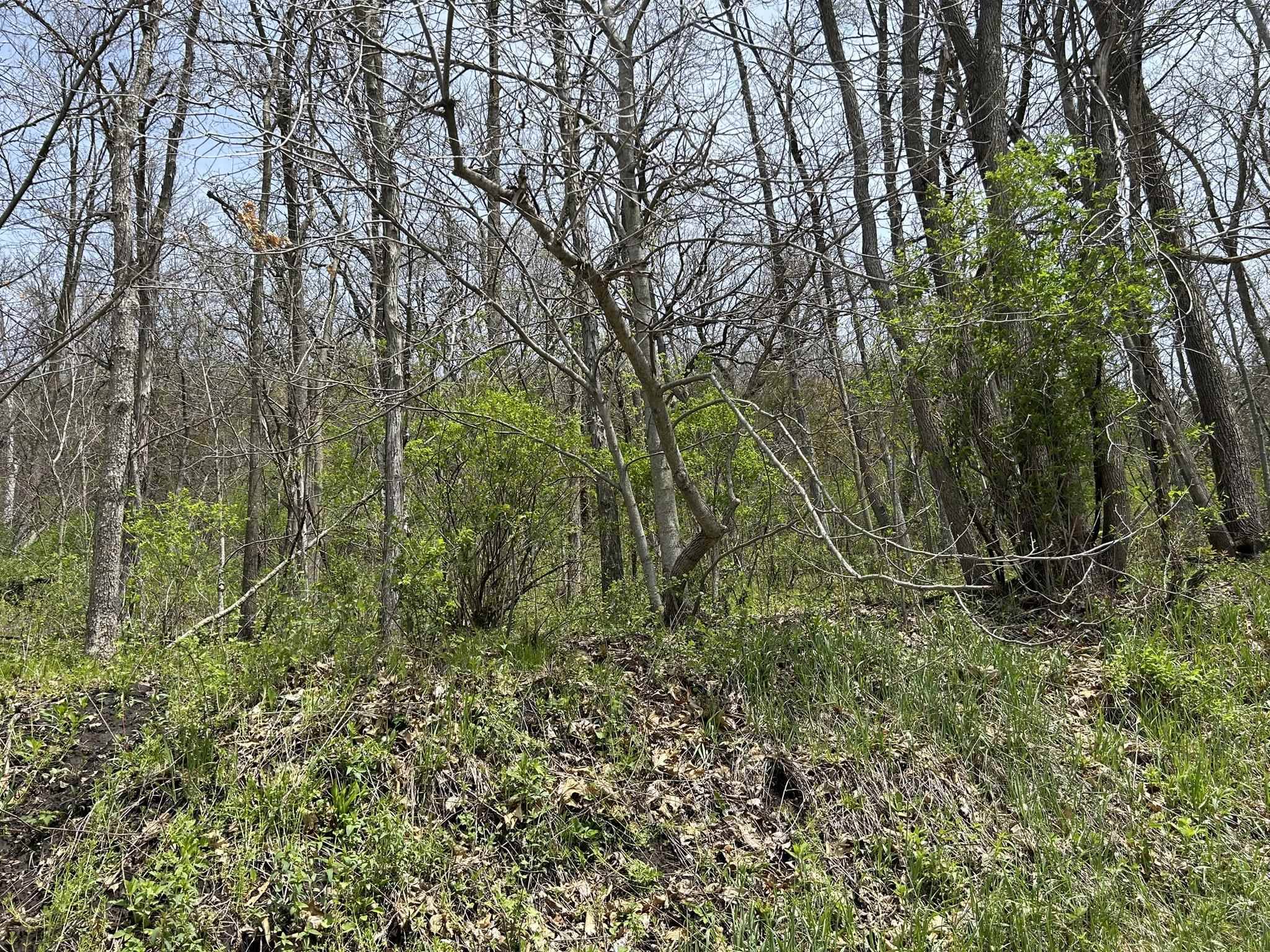 La Crosse, WI 54601,8.04 Ac County Road NN